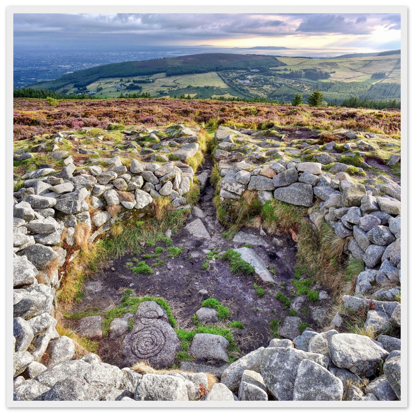 995152ae-b204-4c71-8e58-cd7754ff37f3