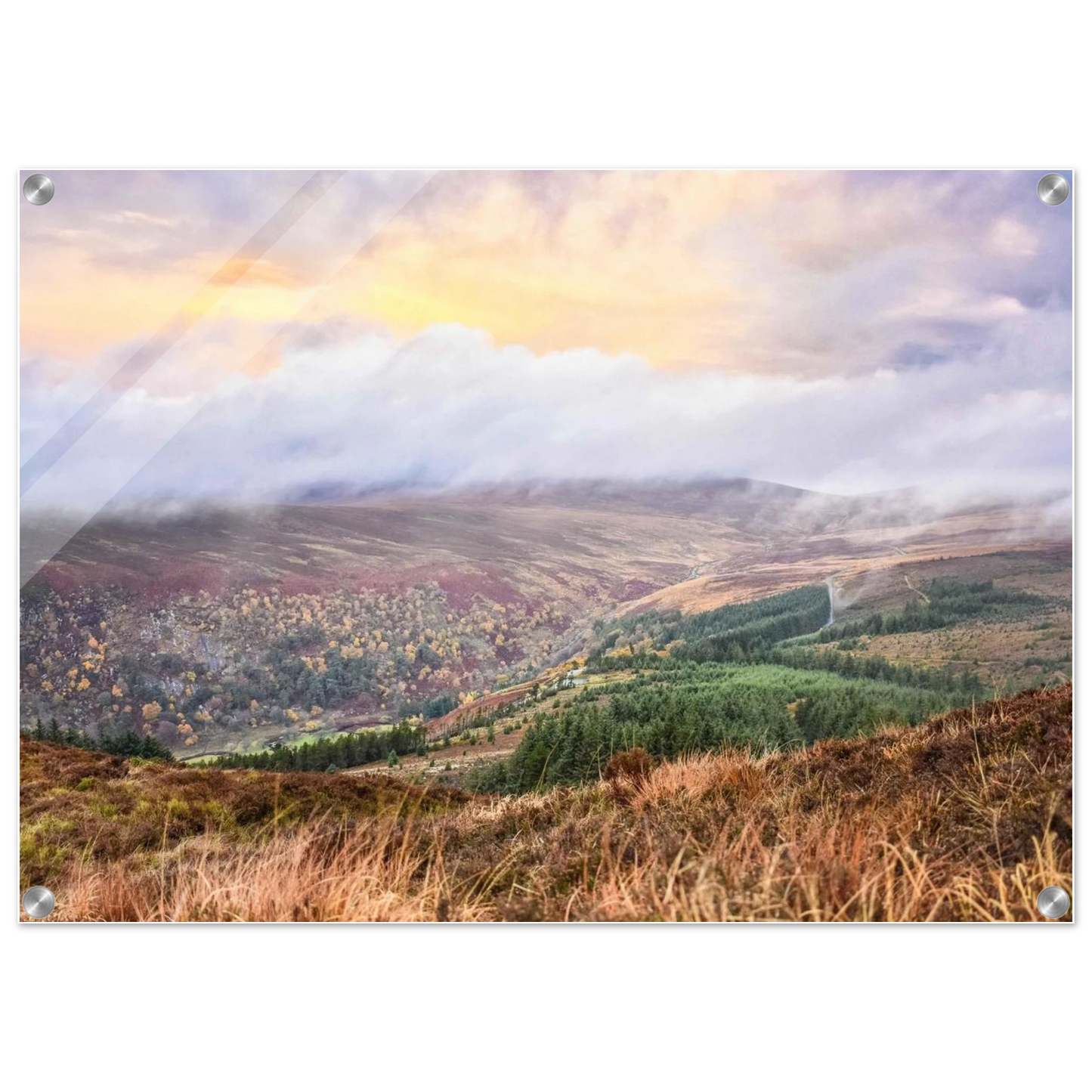 9953862f-6c4a-4ba0-bac8-bade99dea279