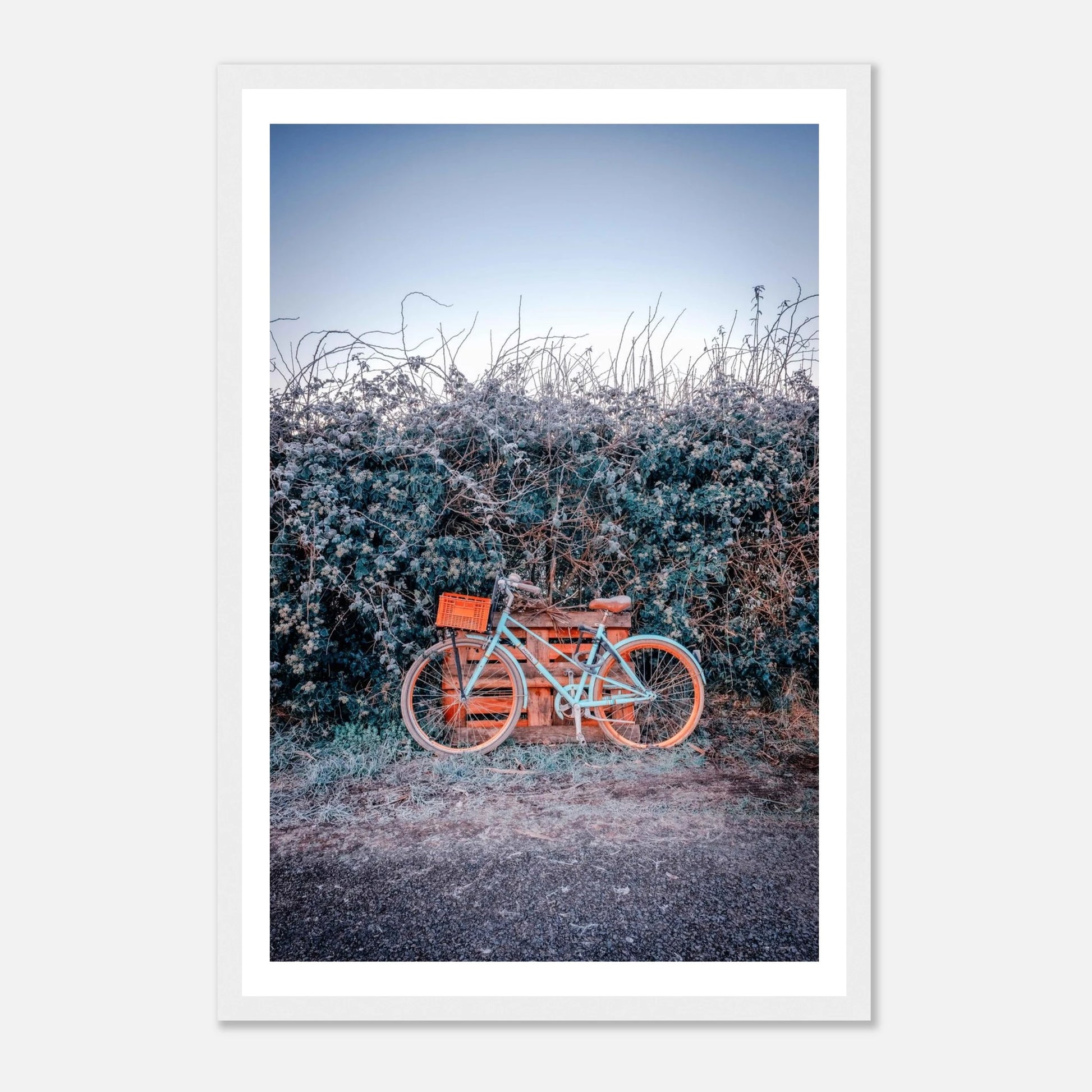 99e2d1ee-c7e9-448a-9693-dbda6a8fe5f7