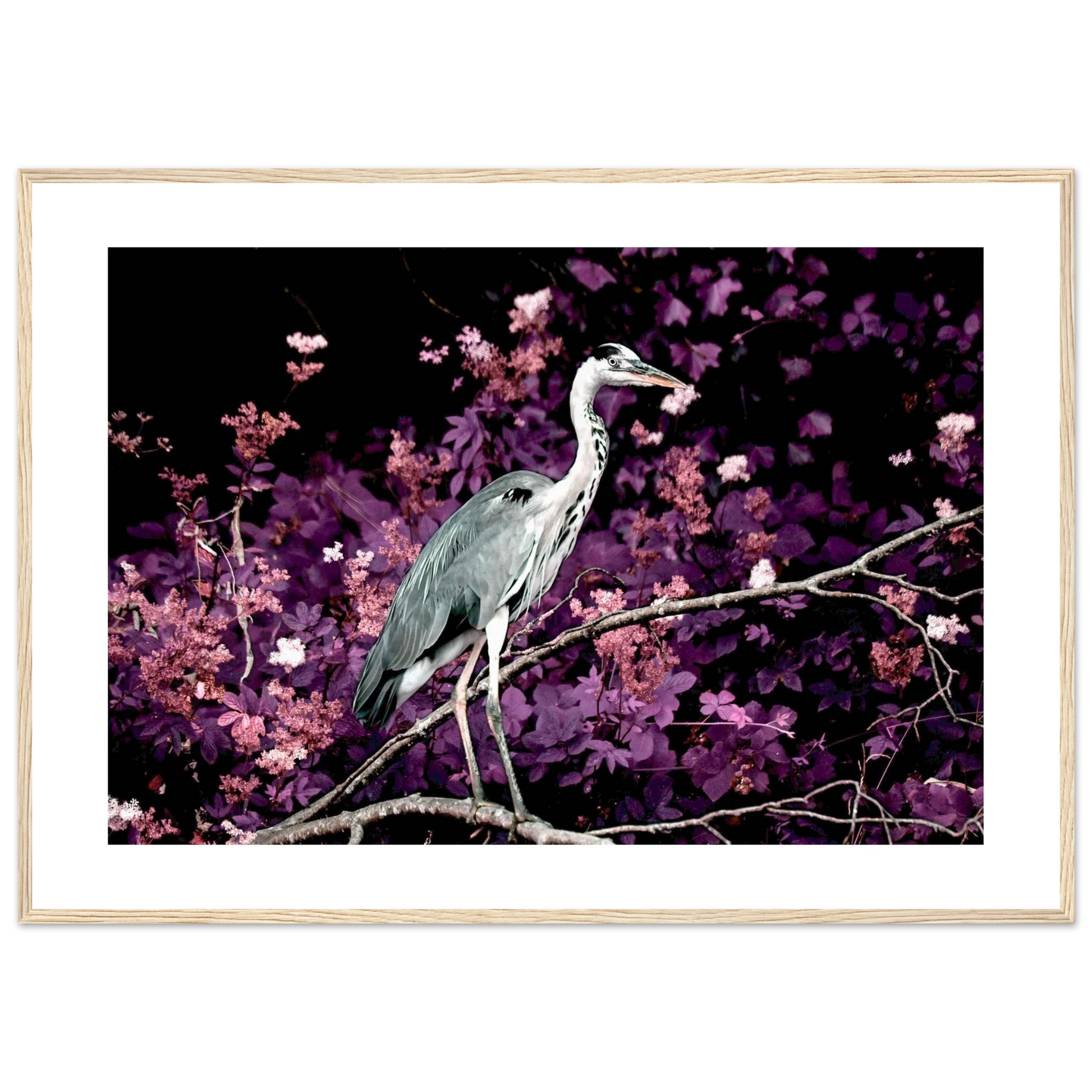 9a32e566-f7e8-4083-8e37-07a84b0e58a5