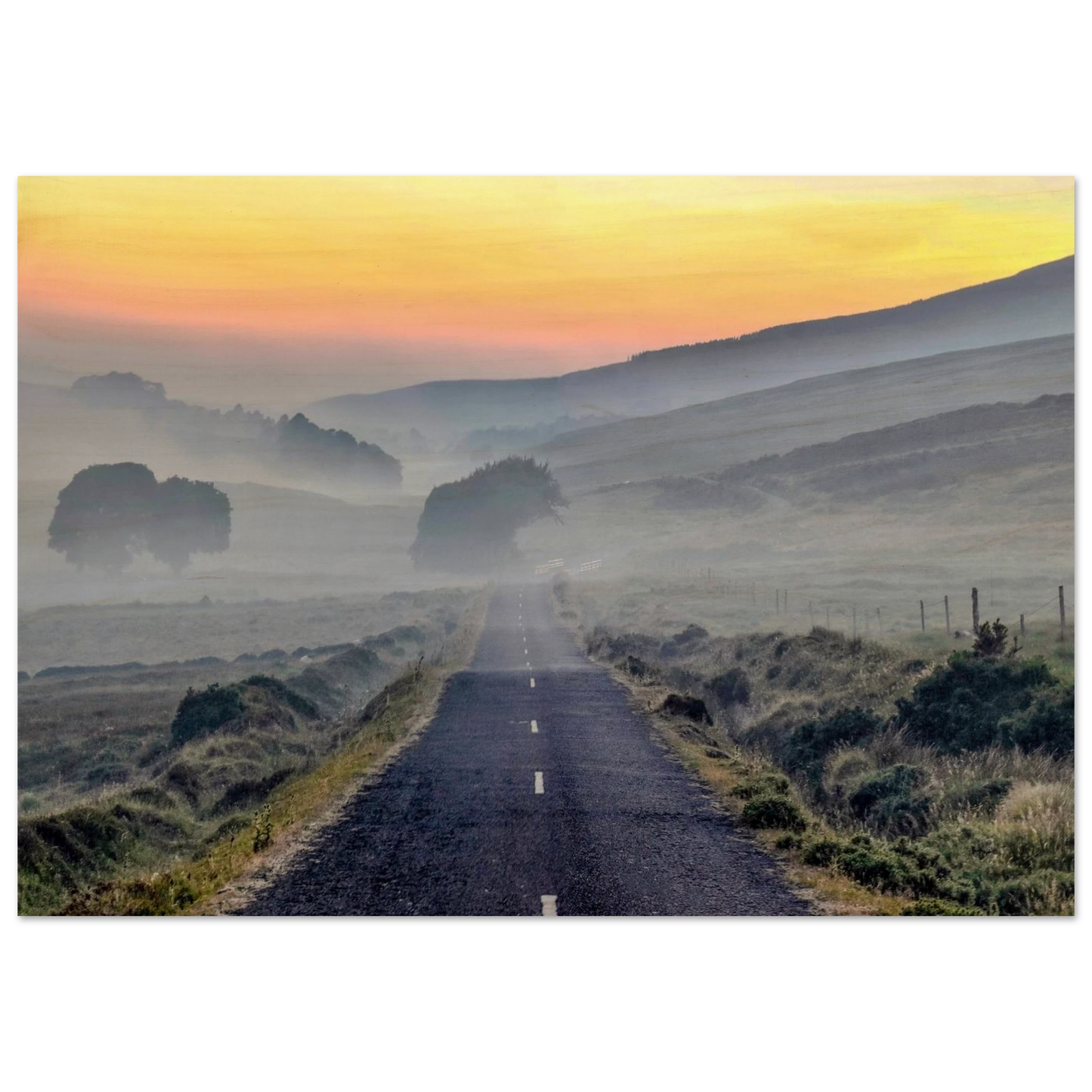 9b16907a-5a8e-4692-93d5-3d56e57246ab