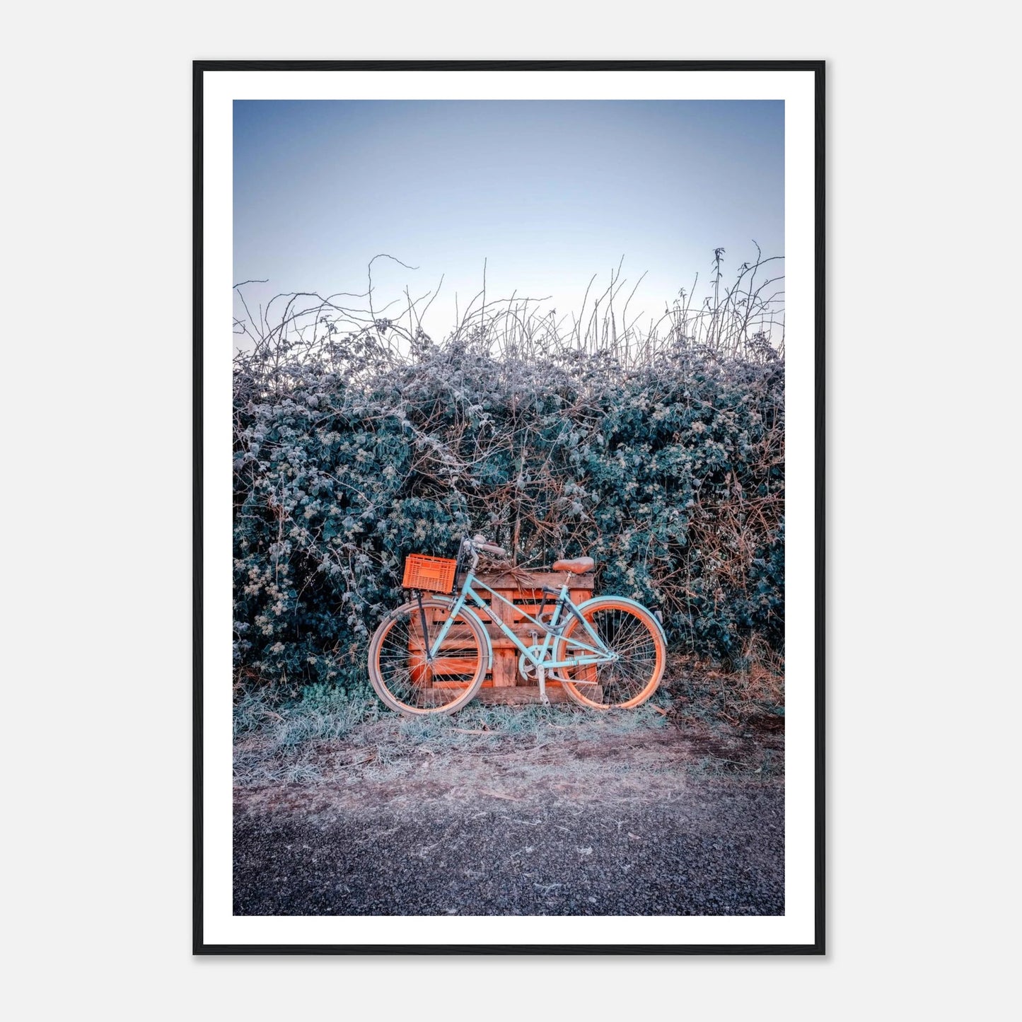 9b584631-64a0-4e5f-8af5-16137703d4ec