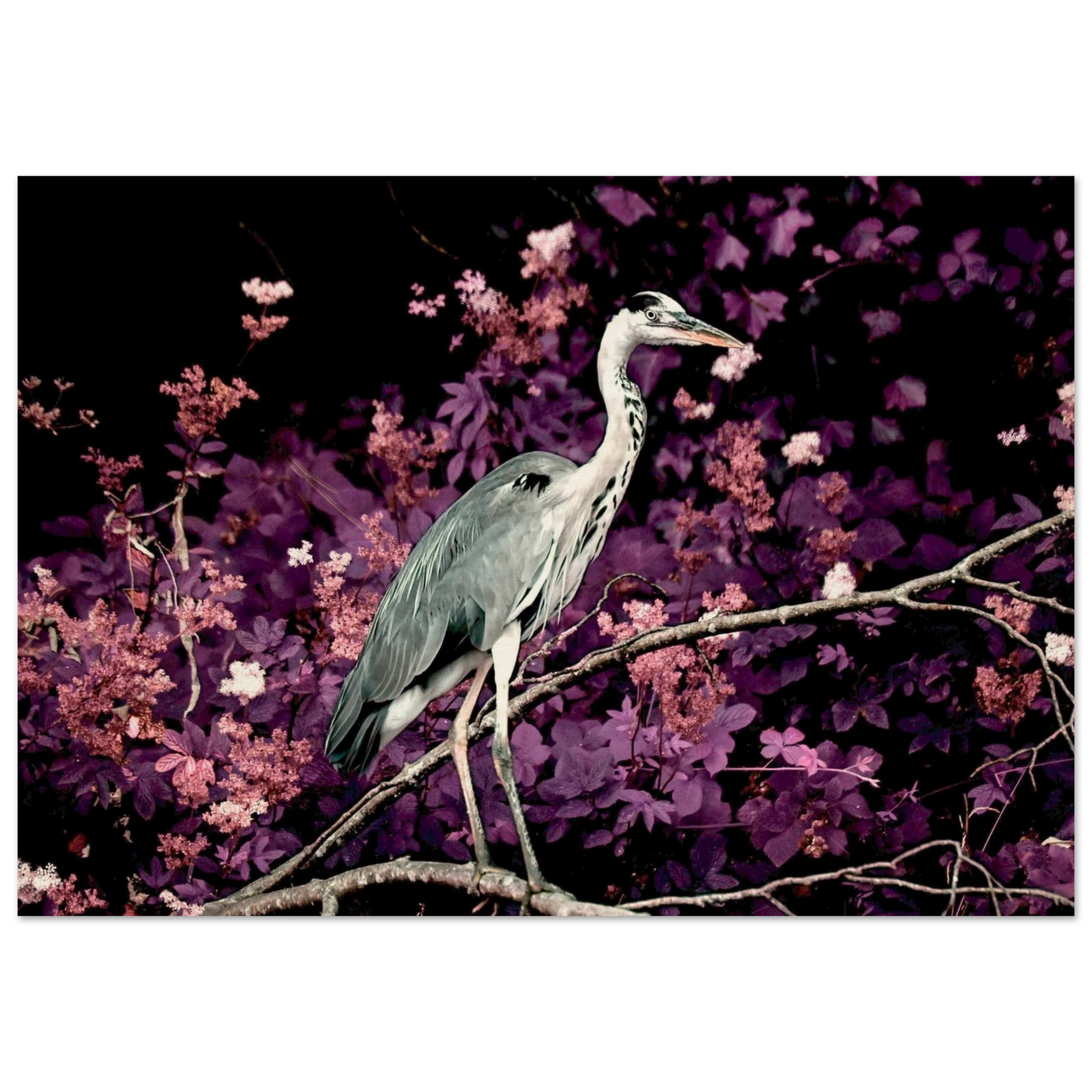 9b5f734d-bb55-494d-b08e-5c150c172943