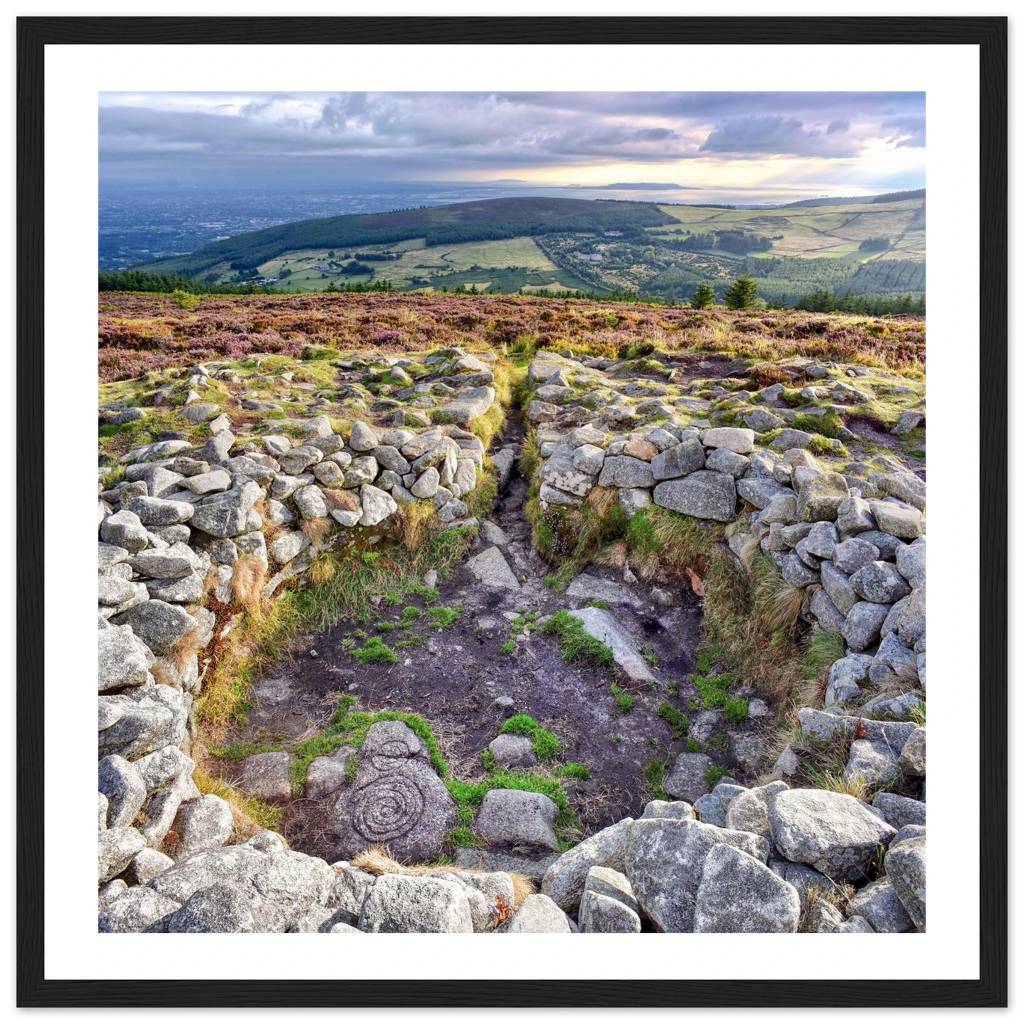 9b9940cc-2adf-40ab-8449-ec52d9febacd