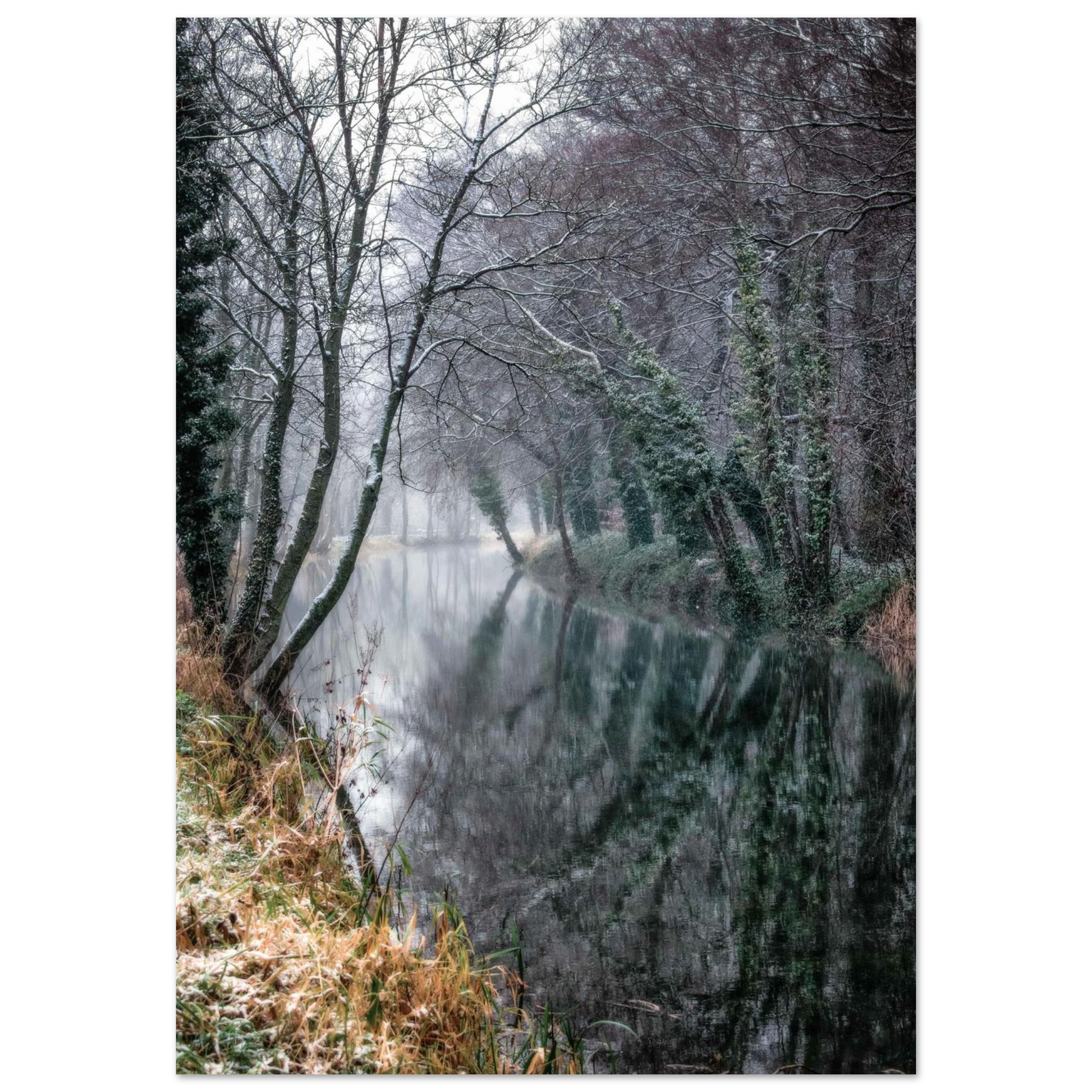 9ba2212e-bf9a-4ad4-87af-64a98e01932d