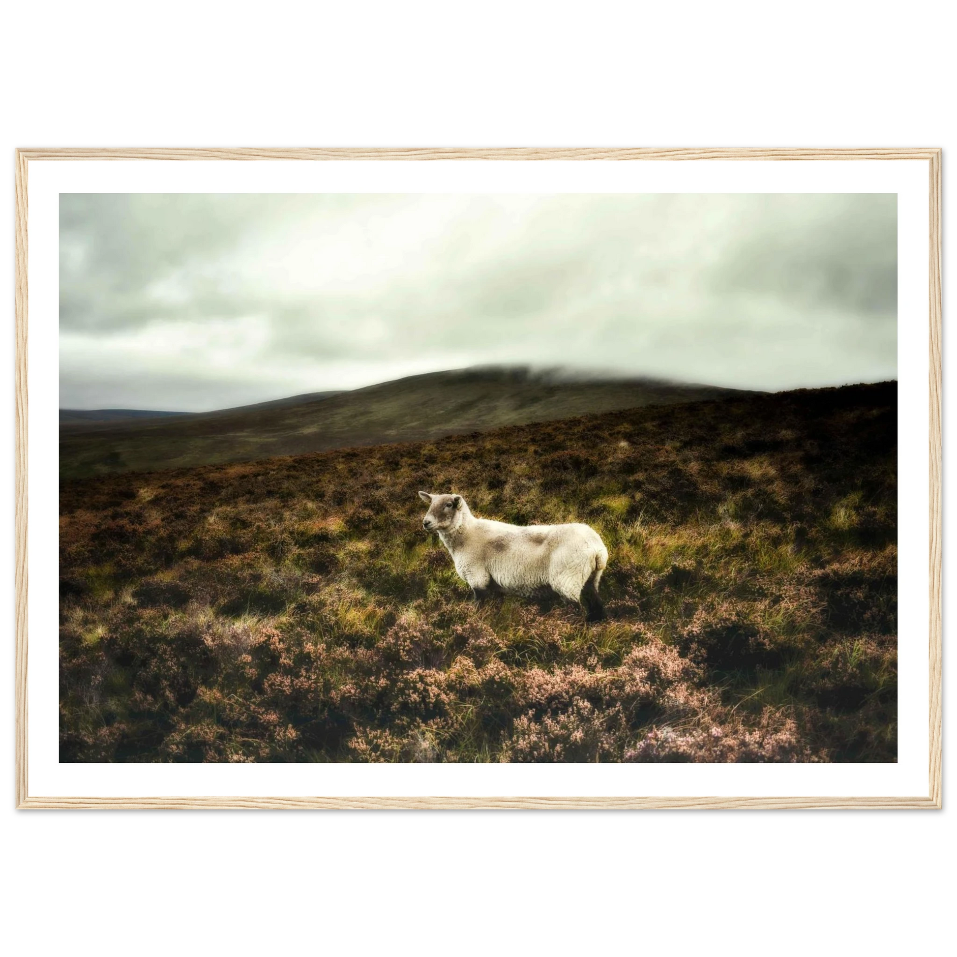 9bb1c679-68fe-466d-851c-1782e90f70d4