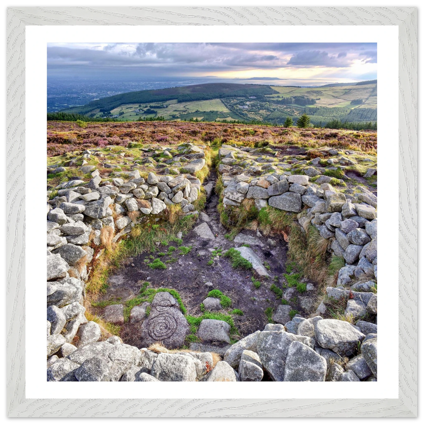 9bfd1eb6-16dd-476b-93a1-4f883aa6b26d