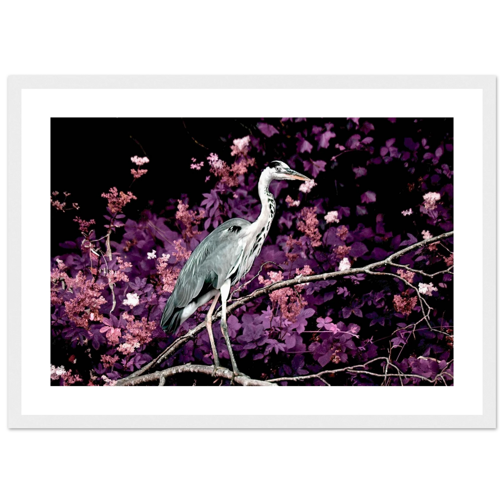 9c0aa61b-cd3b-43c1-b70c-86db9f090922