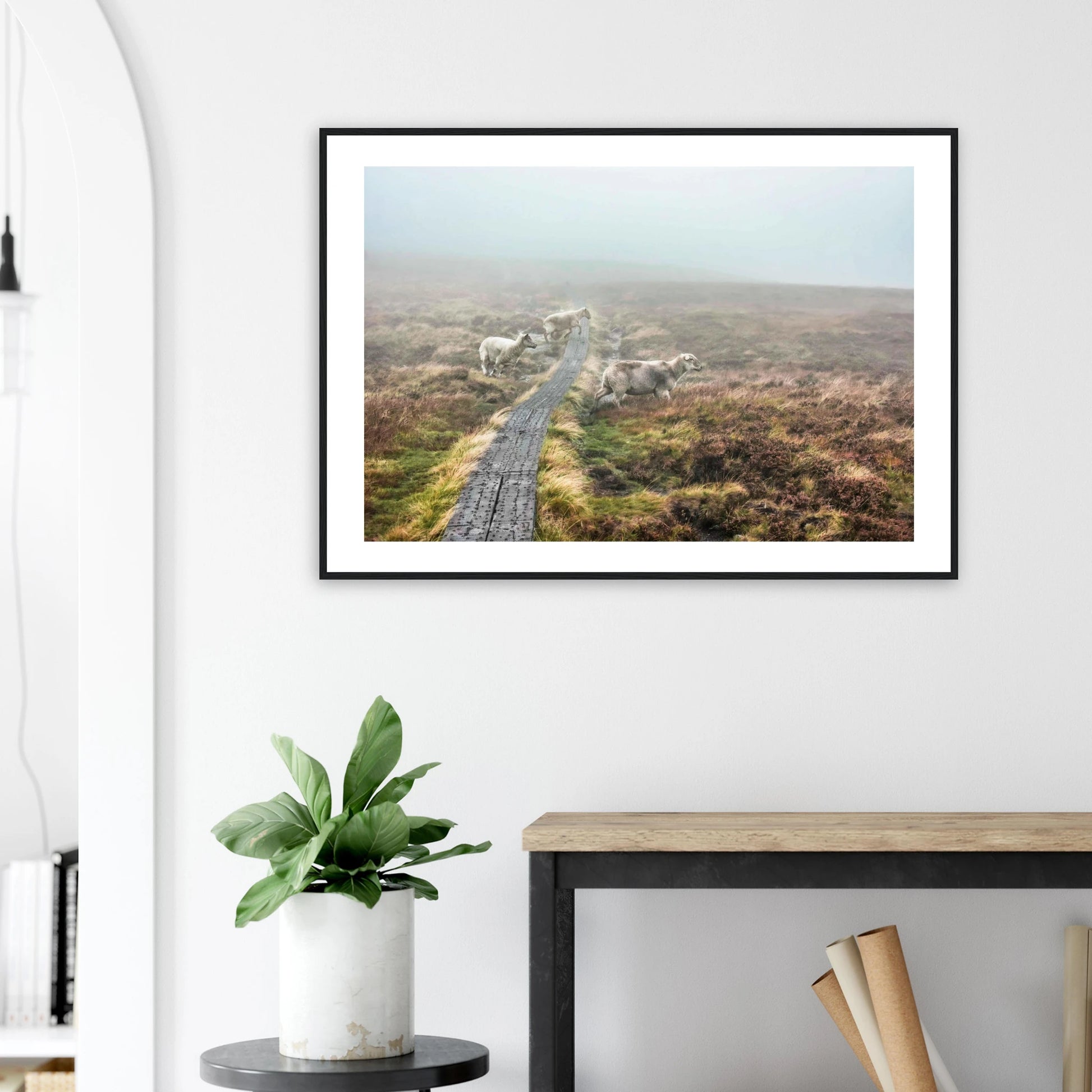 9c1b6206-a195-4557-8051-5ff9398e0d2e