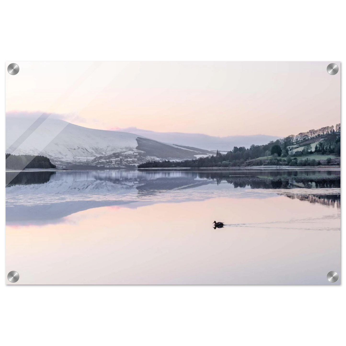 9c9cf60a-9f2e-4e2e-bbb4-8c6ae77fc3a6