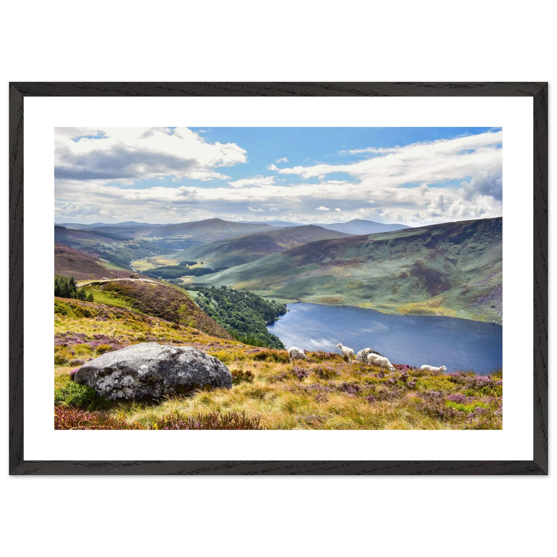 9cf8bdb0-dc89-4ade-8523-3c555fd3150f