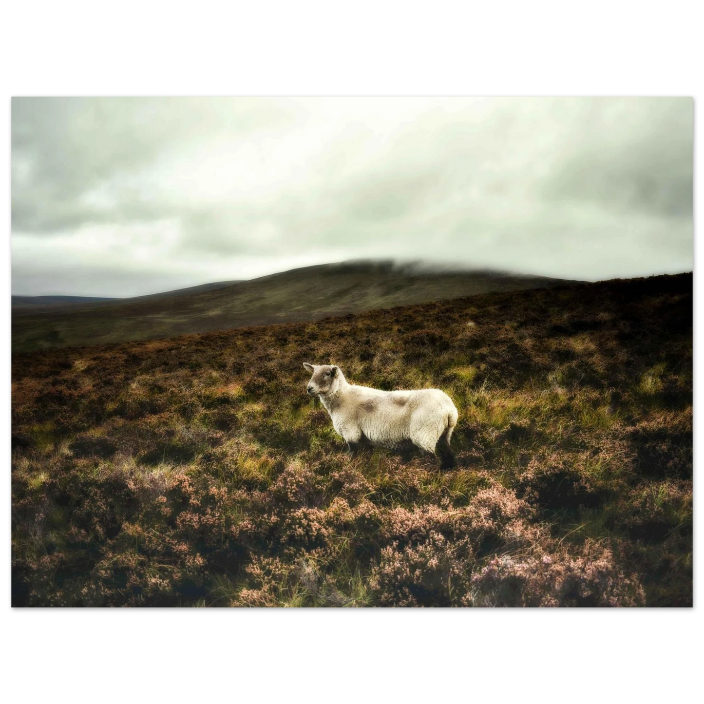 9d019b1e-9d5d-463b-b75c-402d42214d67