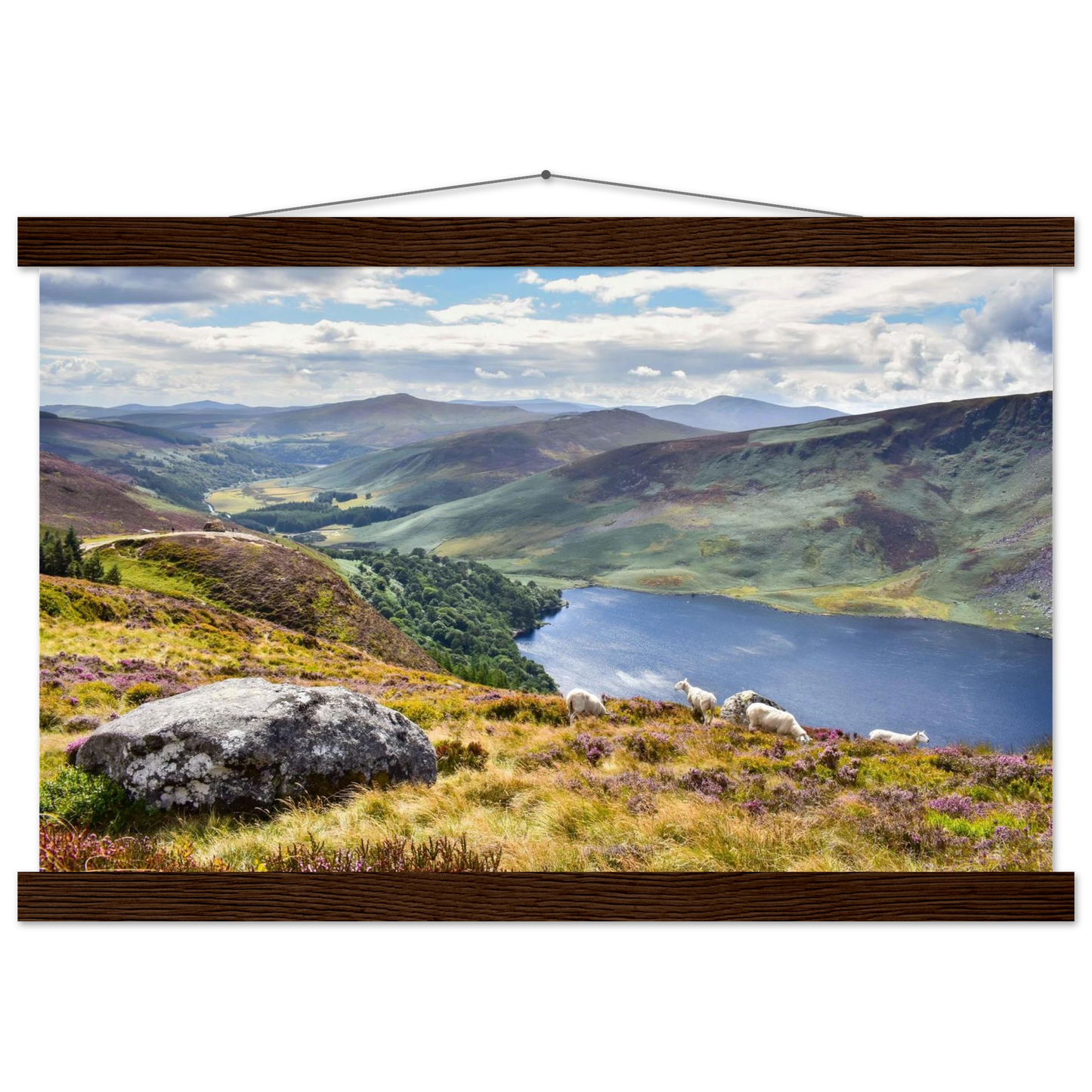 9d0e5a48-a4fc-449d-b66a-82b8eb5cec45