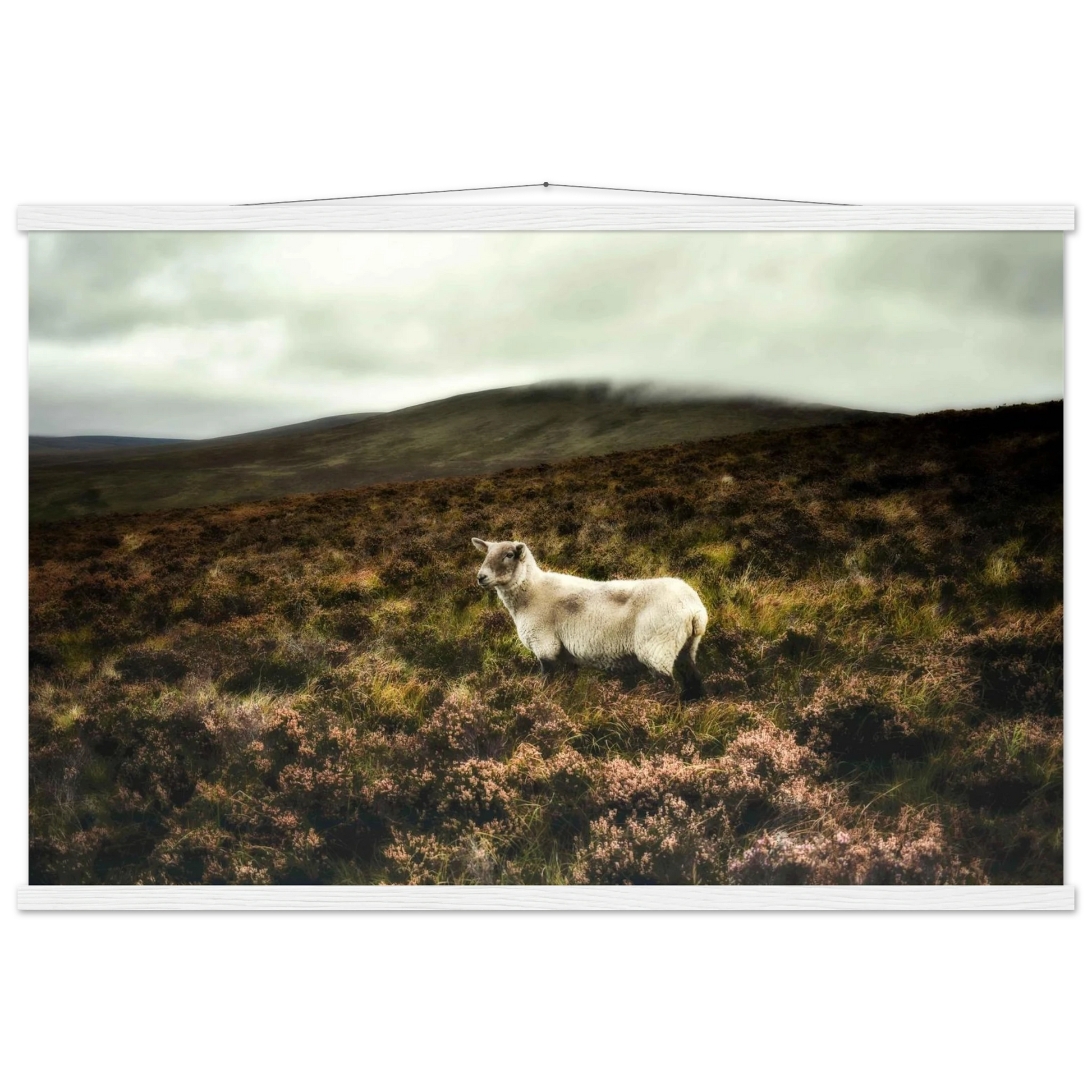 9d562ac7-570c-4e54-a4a1-76a658ee6839