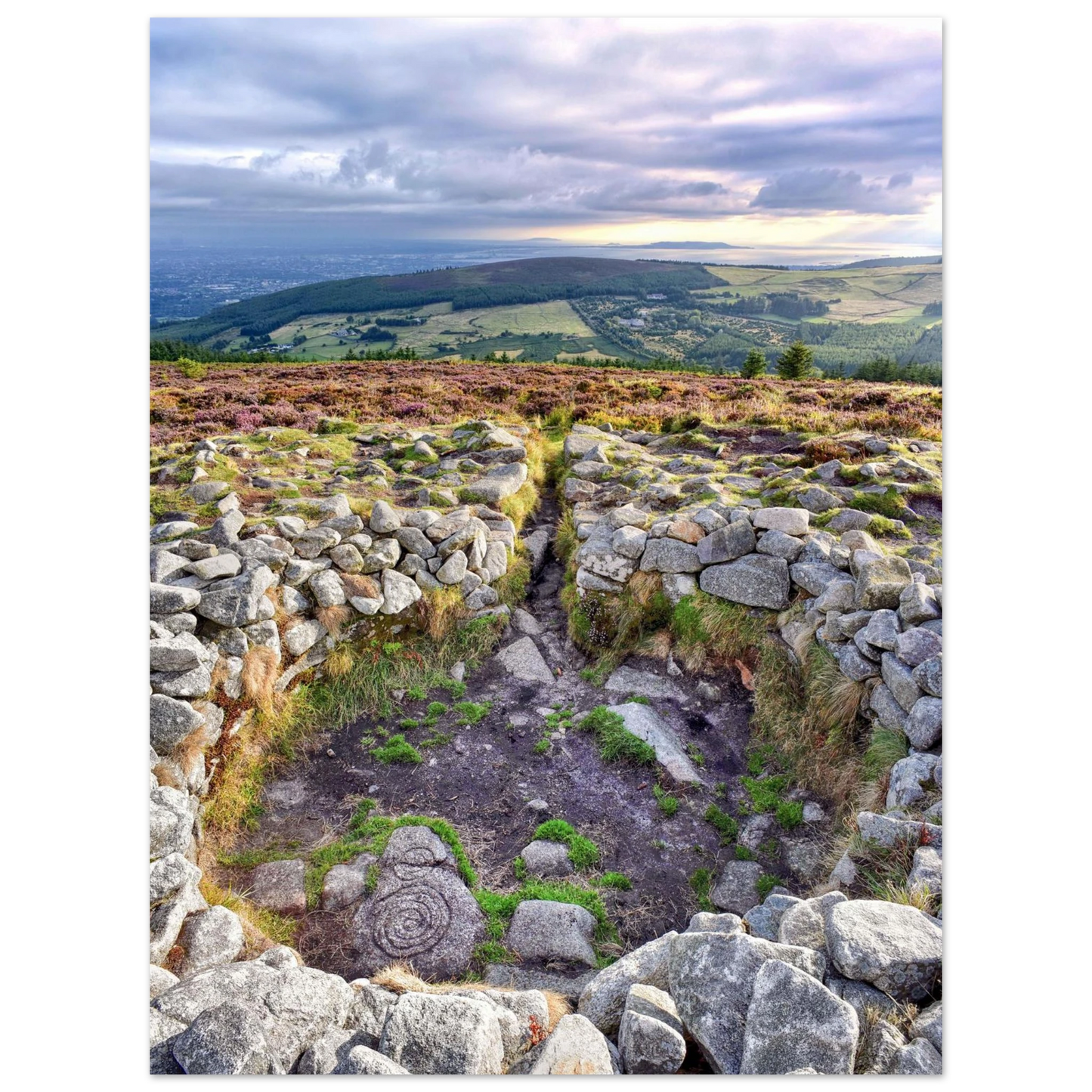 9d9a959f-7348-433a-b1a9-a5aa152080f5