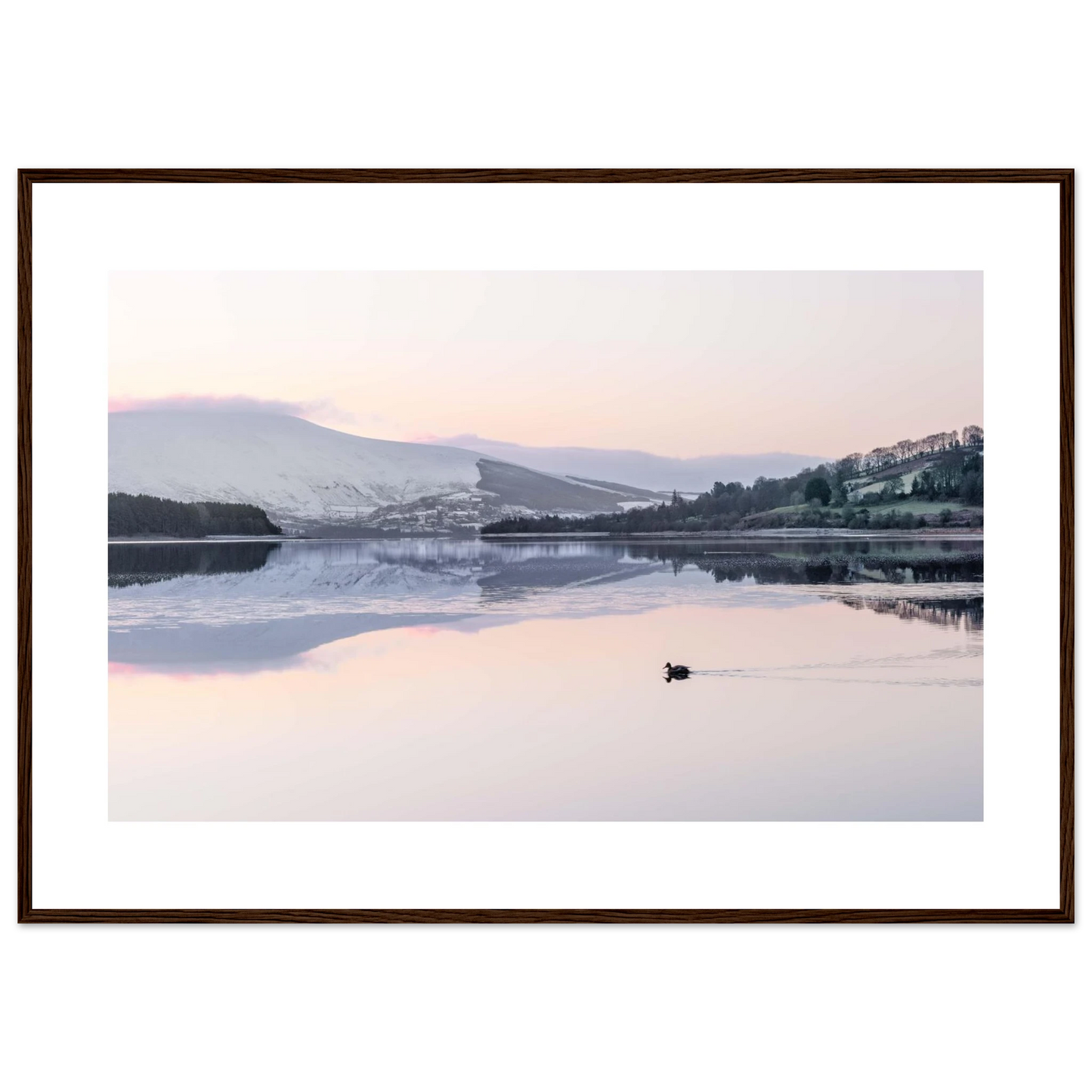 9dca0c8a-cbee-4801-b5cc-b87a57cdb5e1