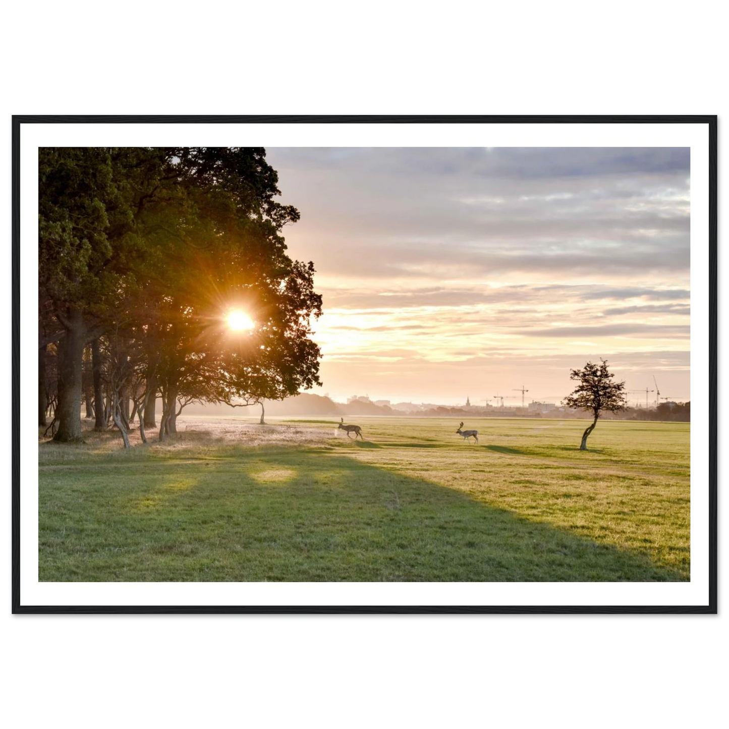 9de9cda7-9536-4bea-a8f0-976e91d3f045