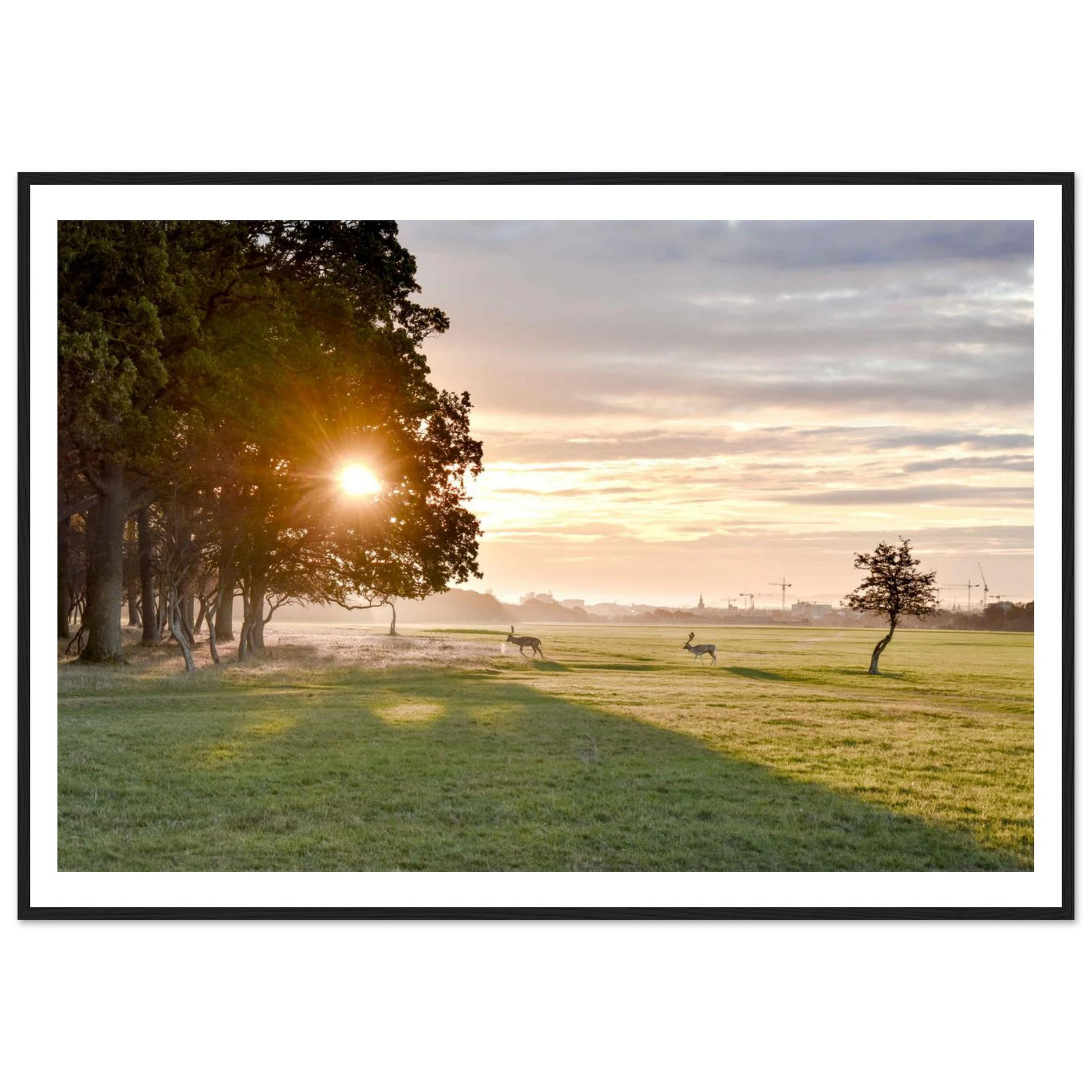 9de9cda7-9536-4bea-a8f0-976e91d3f045