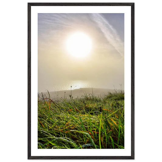 9e2da19c-acd6-4e2a-b7da-547a38699a16