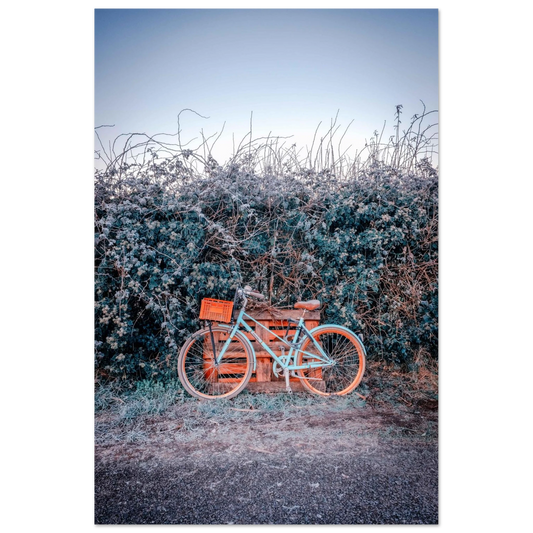 9ee260e1-fc77-46d3-b331-f8cb4e578f3a