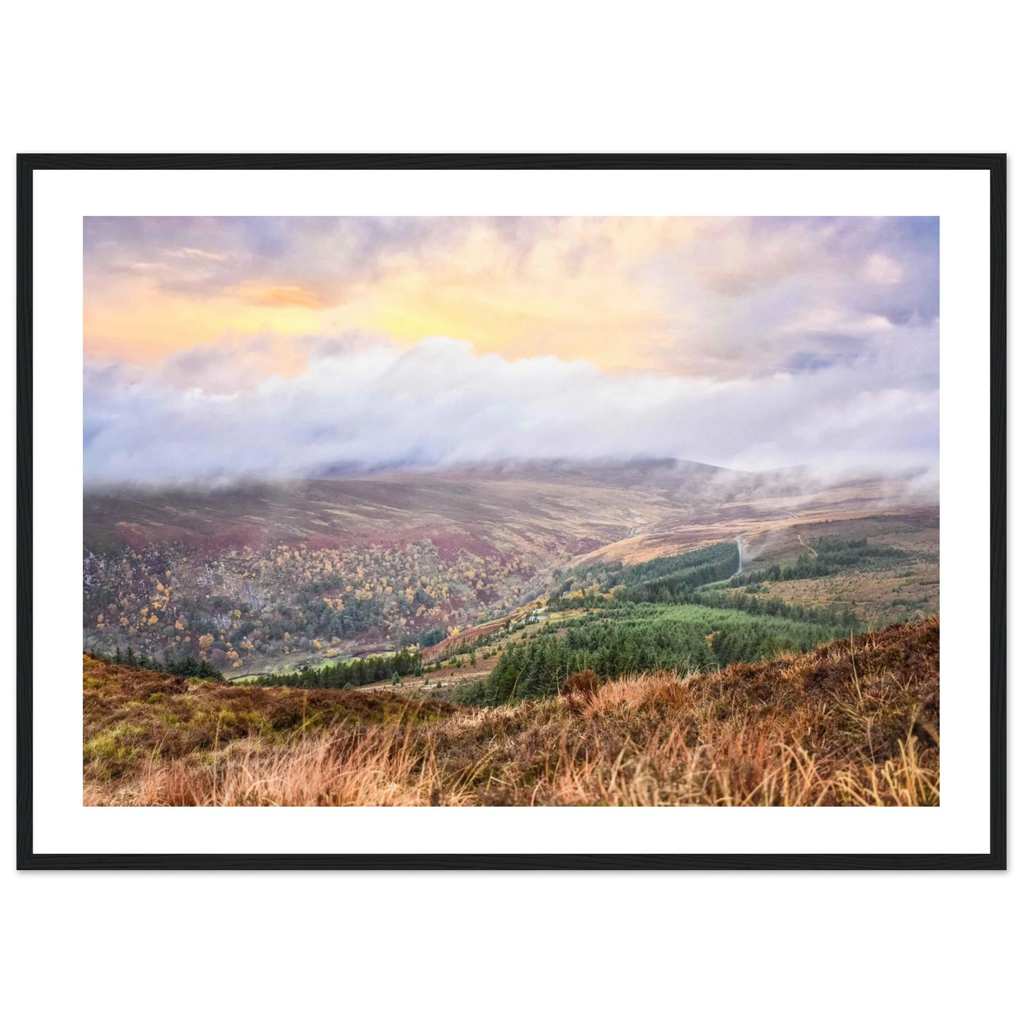 9f140feb-53b2-4026-b5c6-dc7575b450f7