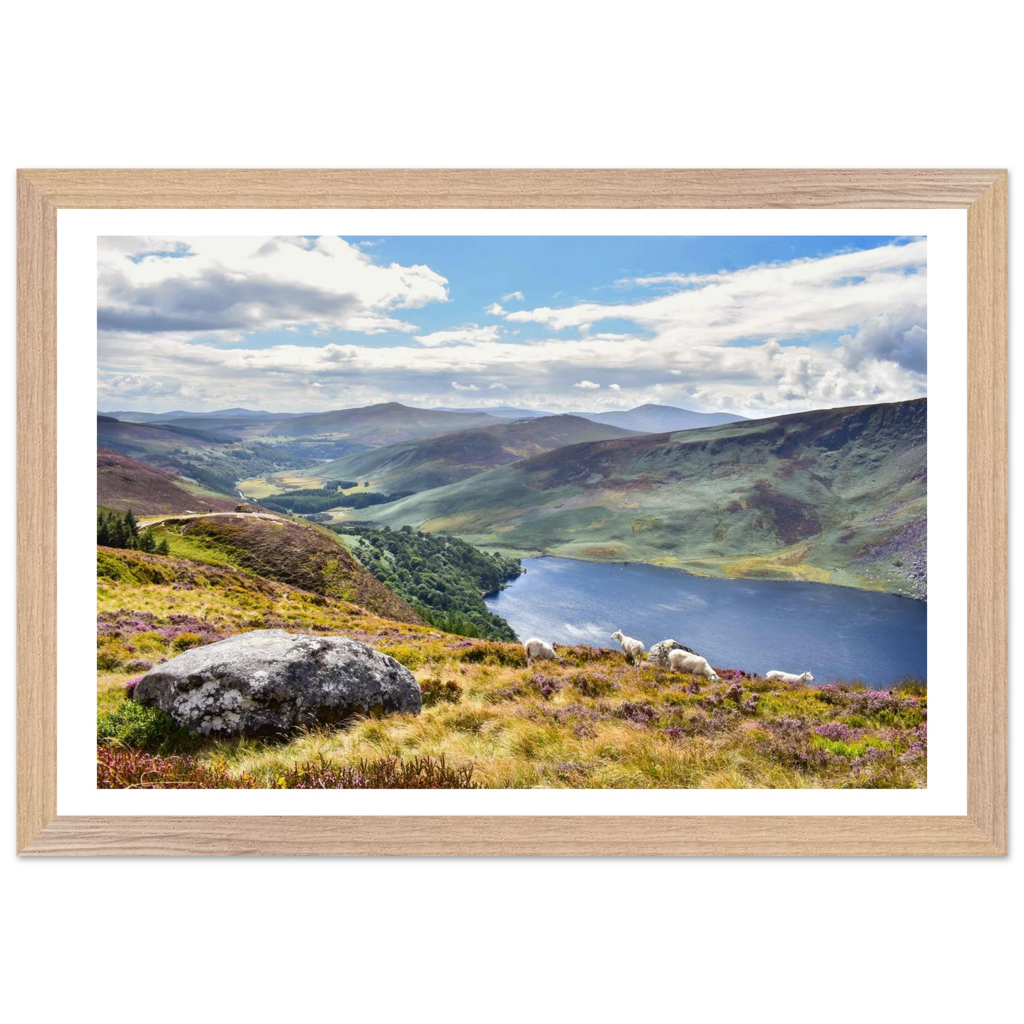 9f4de7ce-ecd9-4bb8-ba18-34582a2e8a78