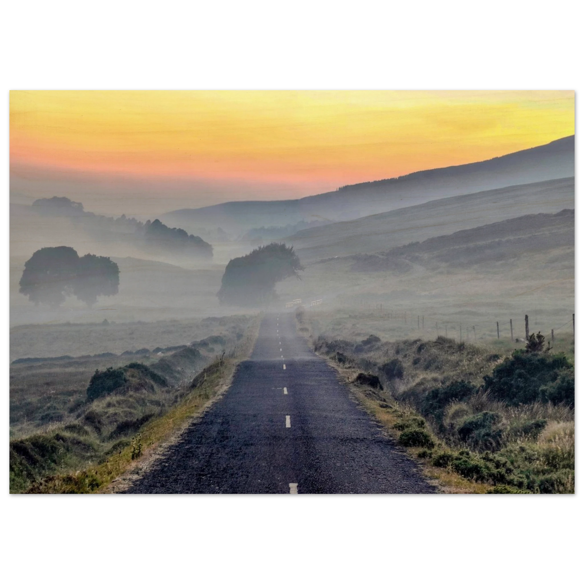 9f918876-357f-46ee-9cdf-6a23c159640a