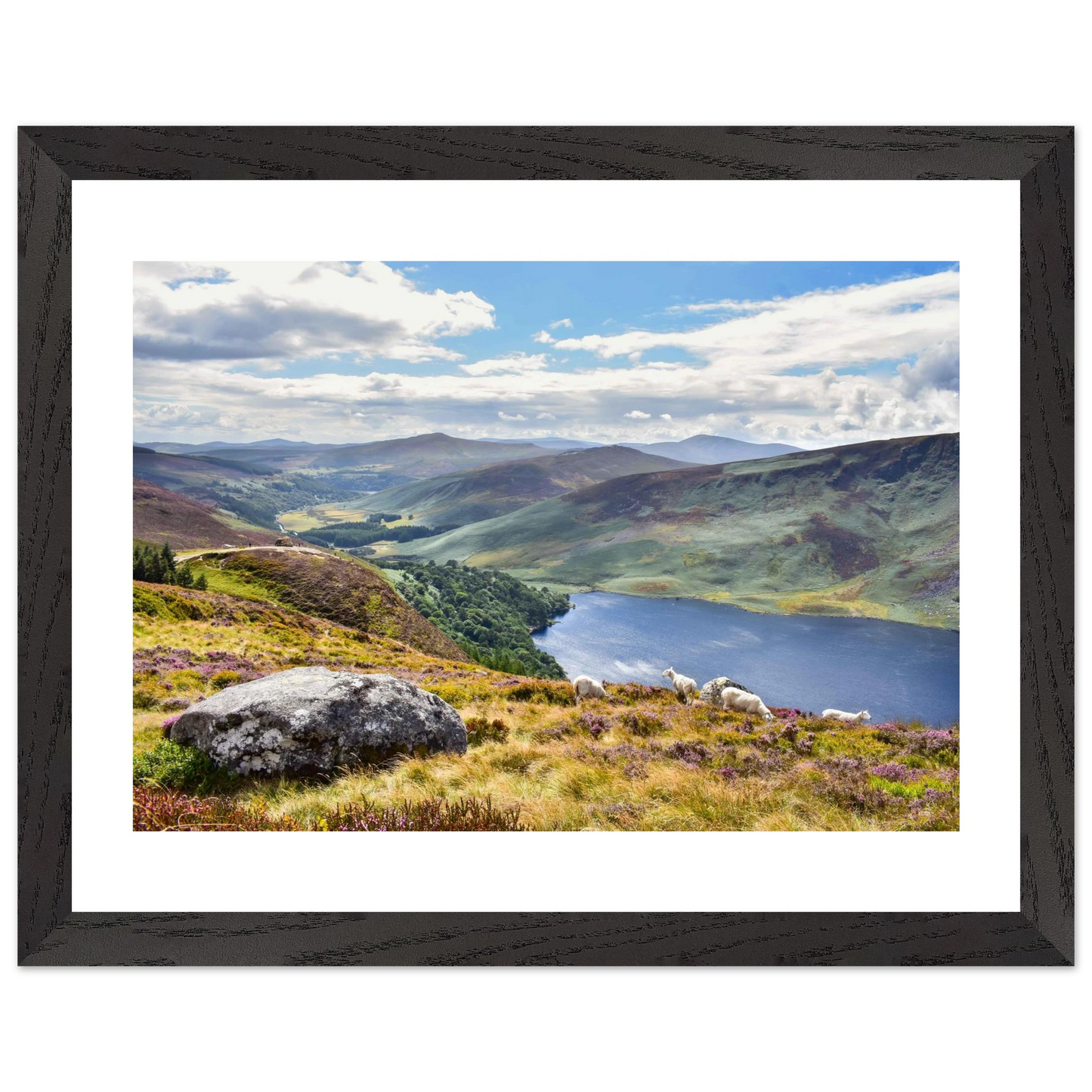 9fc38fda-3557-4398-a380-085ba3d8ede2