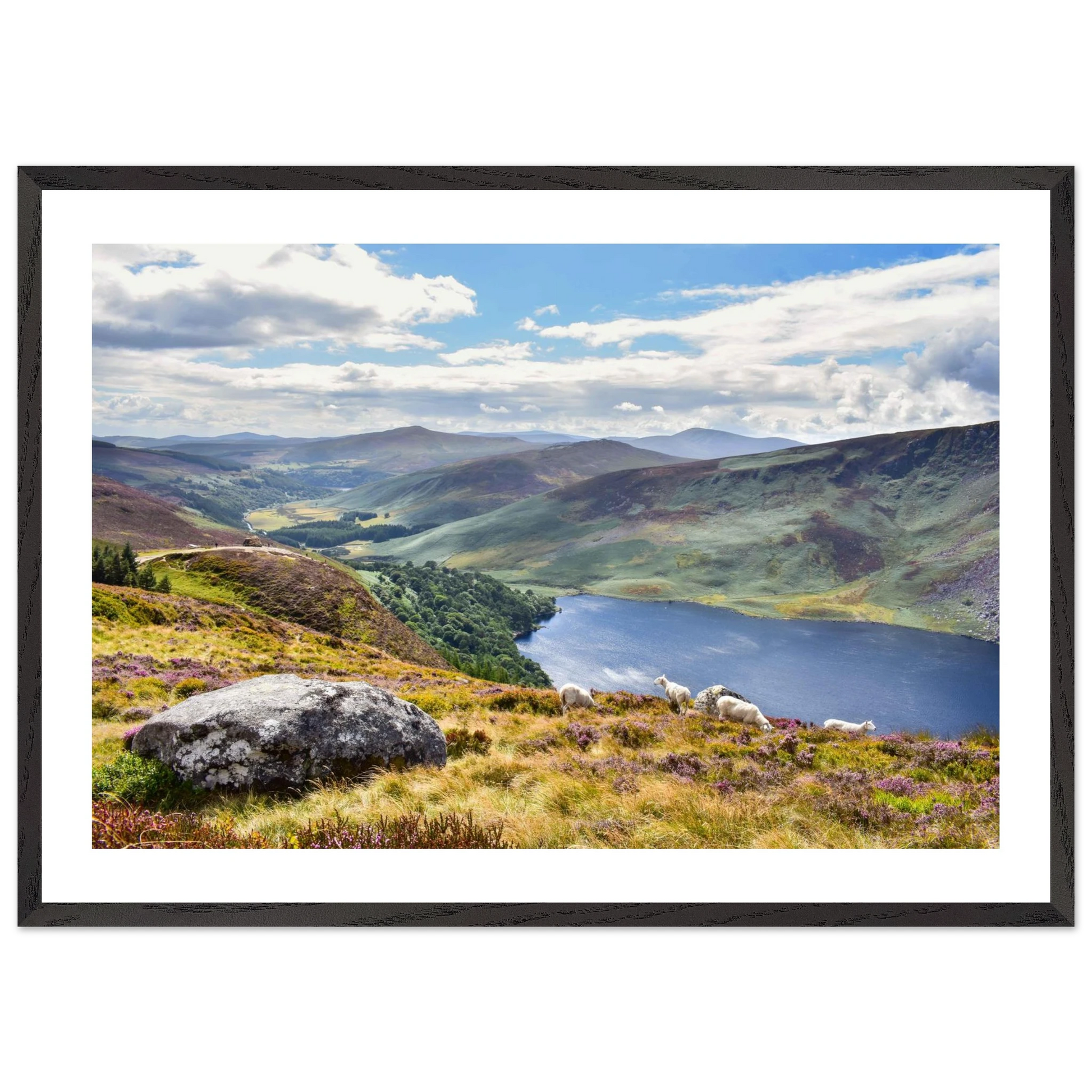 9fd75a6c-4336-4ec8-9d93-d928b42ef60a