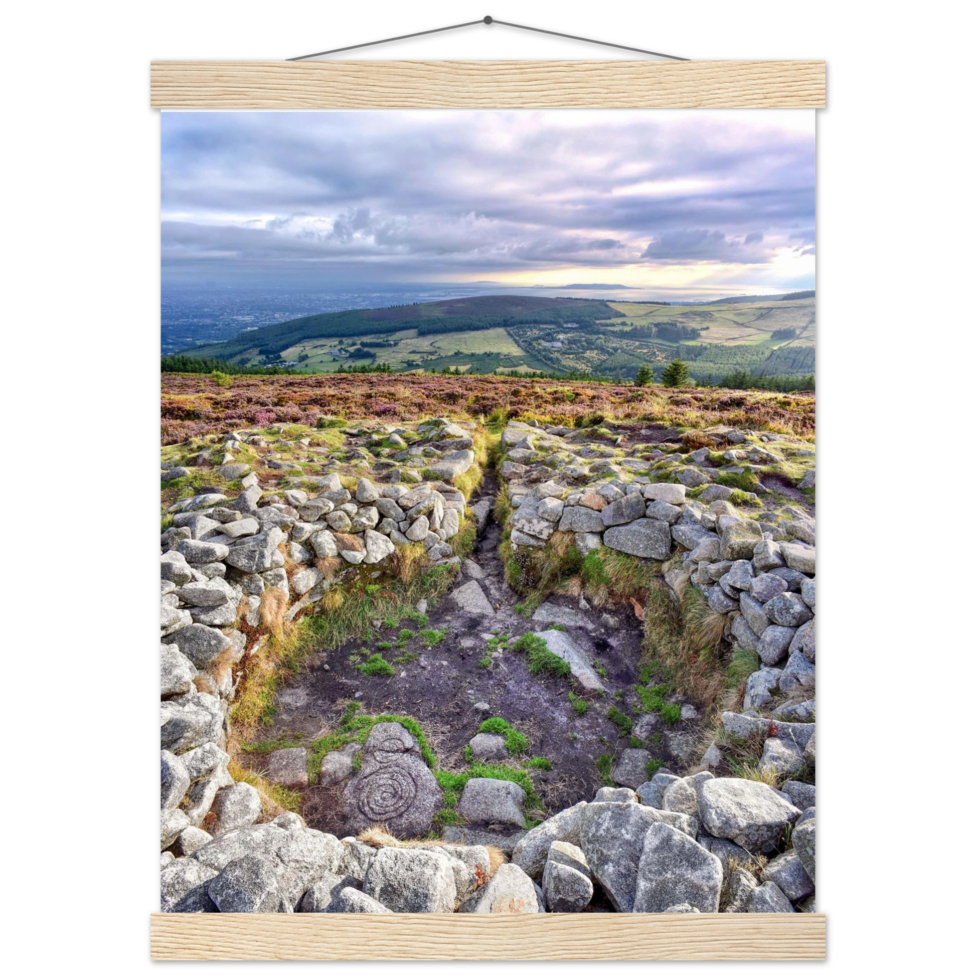 9fea3d1f-c800-49b7-9461-b095fde7070f