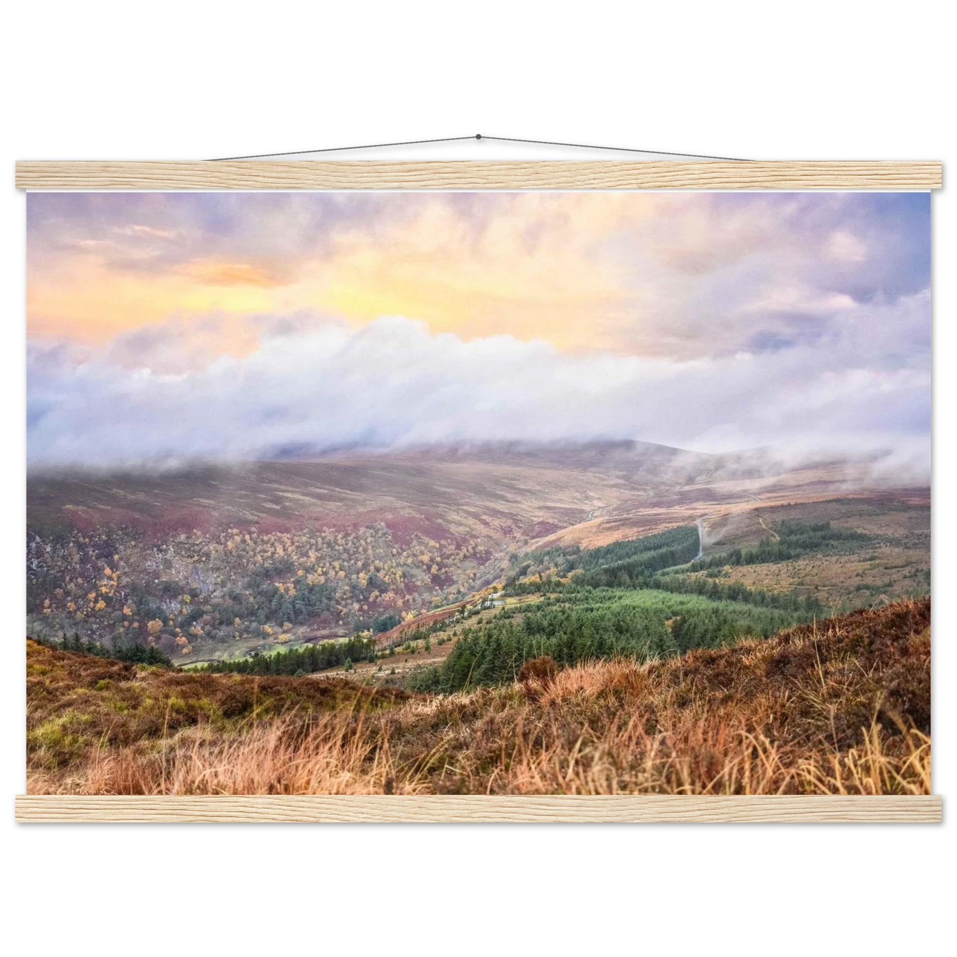 a0194405-721a-4c70-98f0-ffd99a28c30c