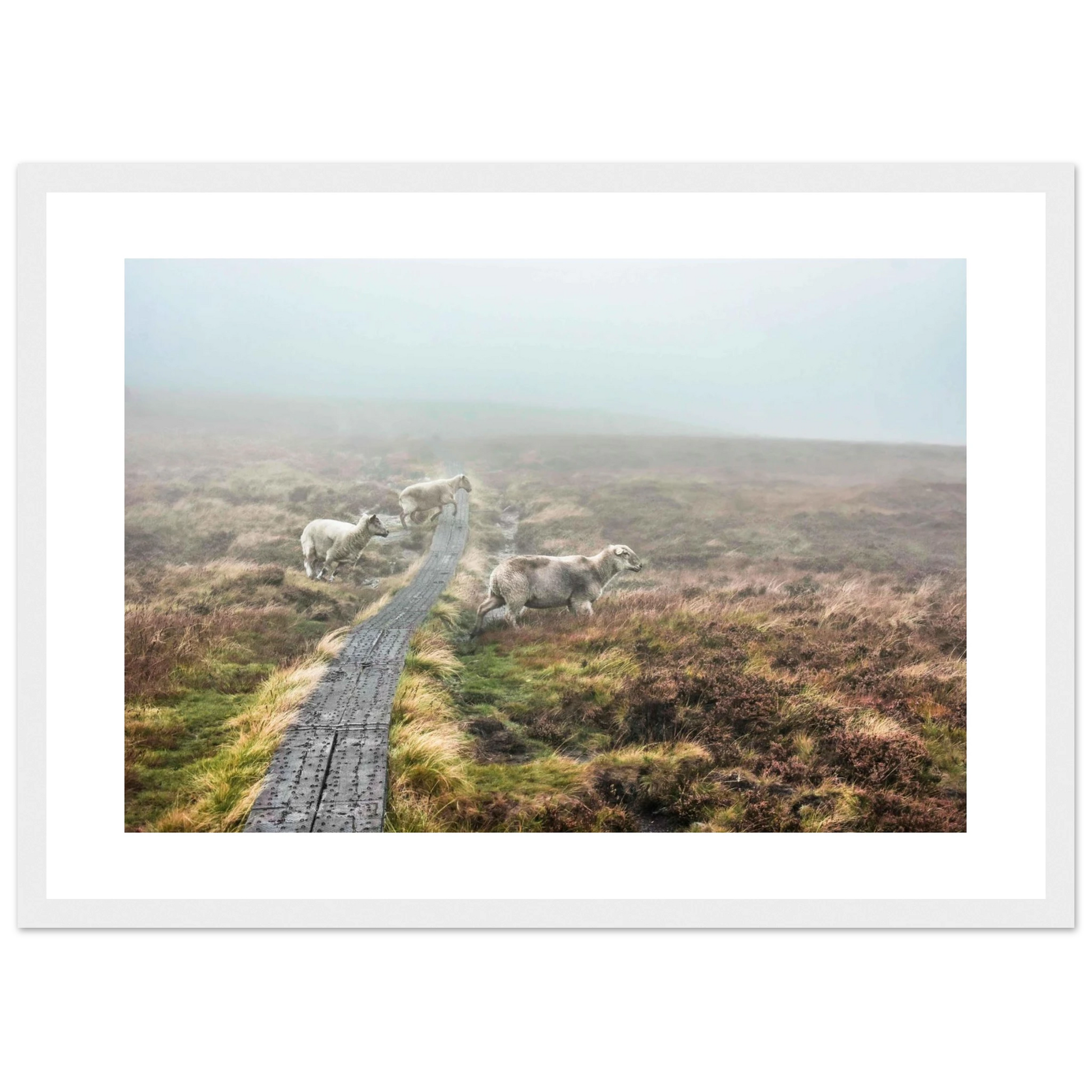 a0a794bd-3e09-4374-b40c-69ee84974e75