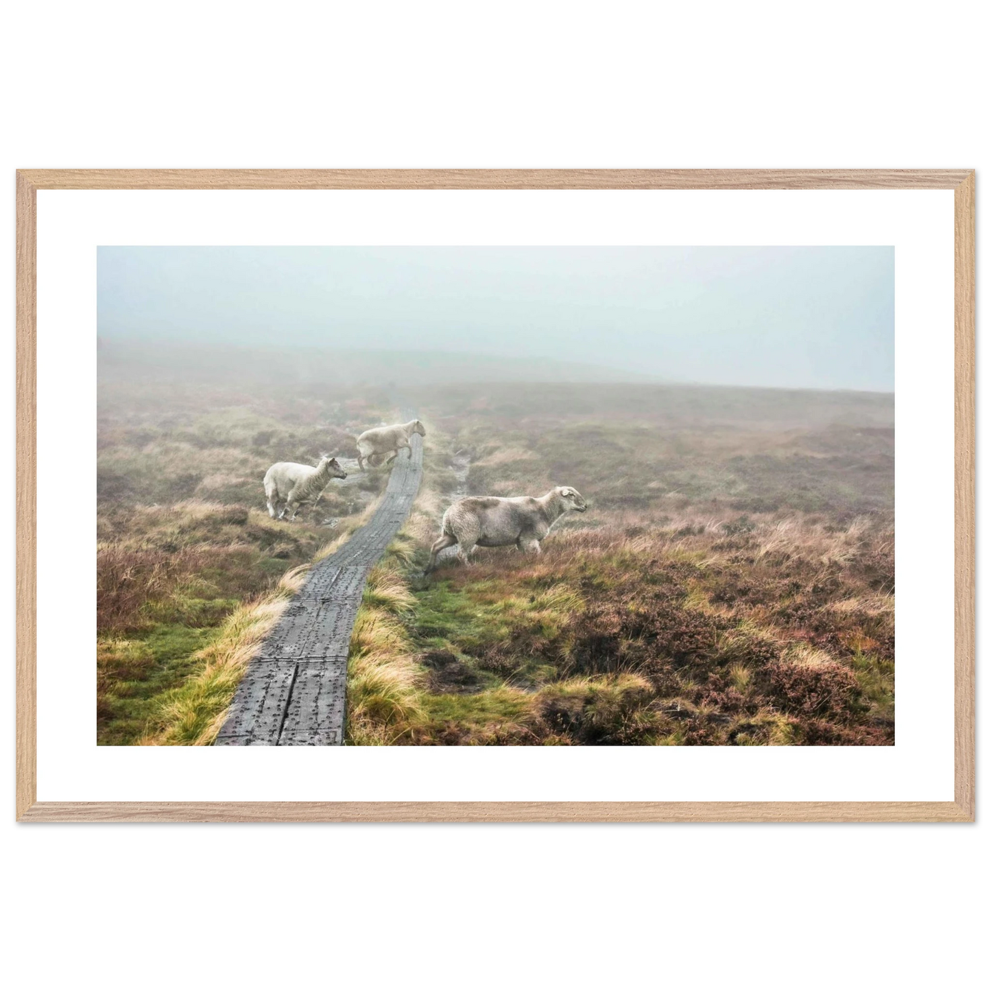 a0c9b5d6-b5b0-4e8e-924d-4ce069f9e747