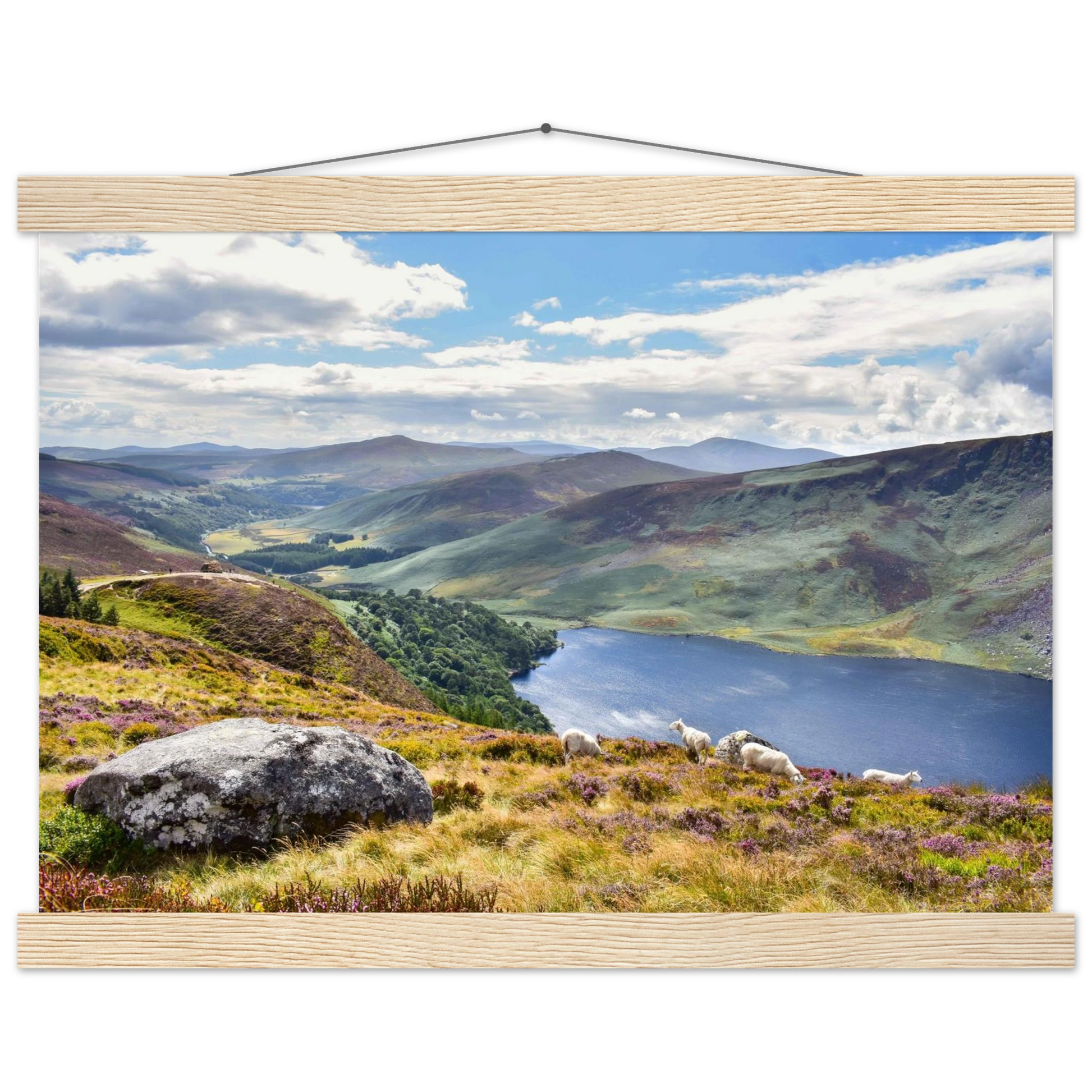 a0e70926-5747-485d-a826-ffdd8e26c741