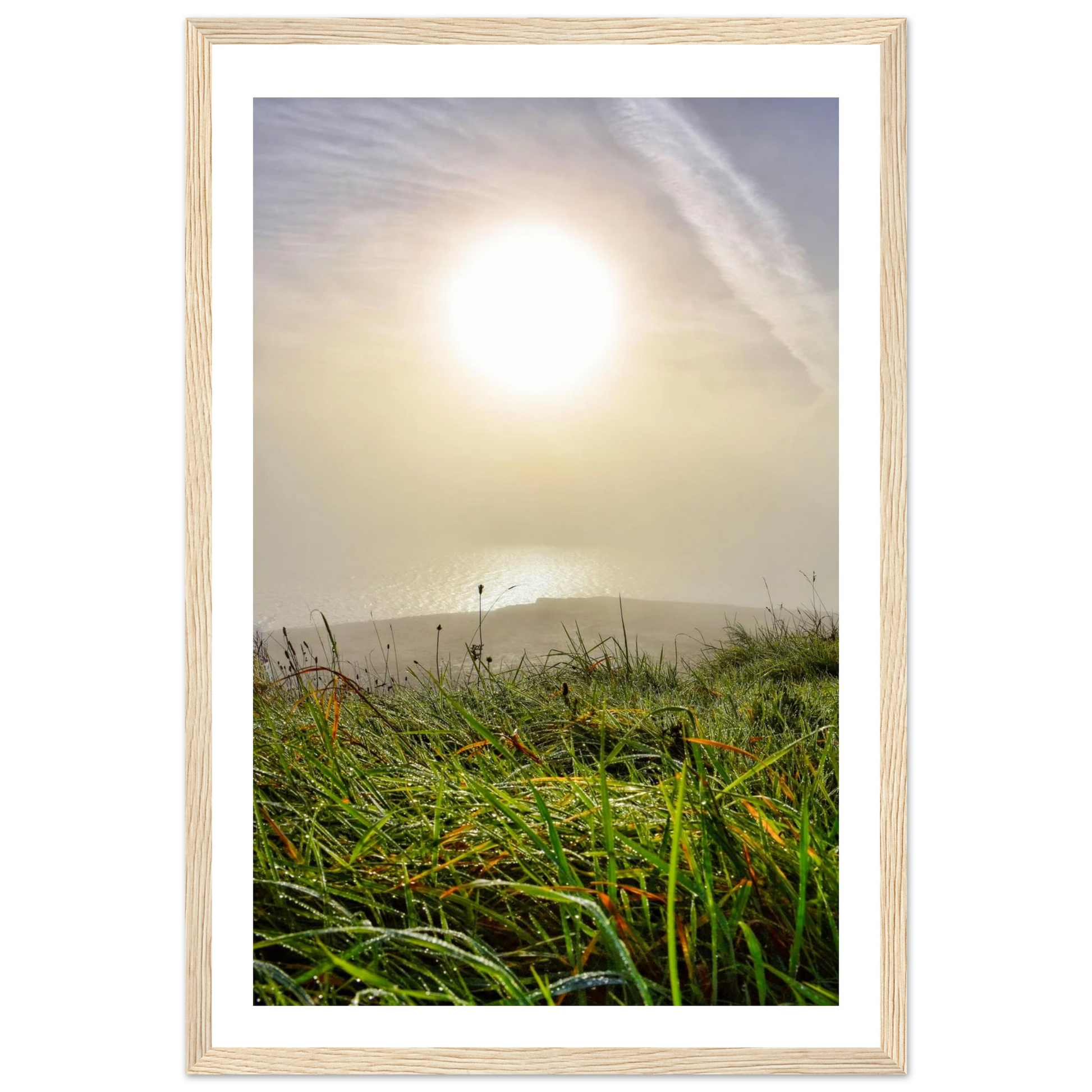 a1015d5d-e142-4590-a4c2-77d722faba58