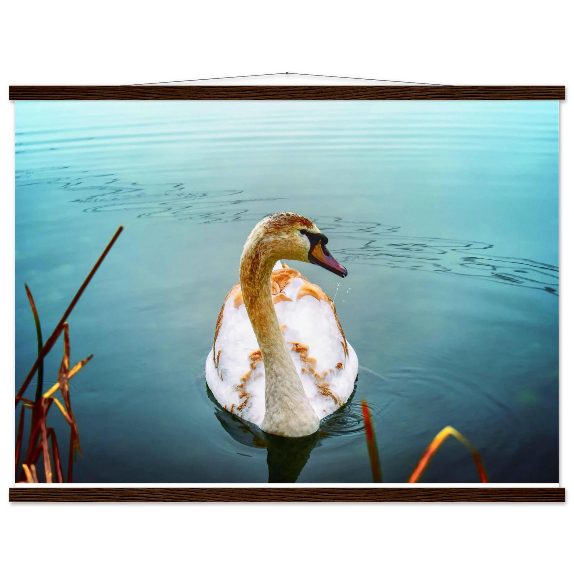 a1755afa-ea4c-4e8b-a05d-5a0999e10682