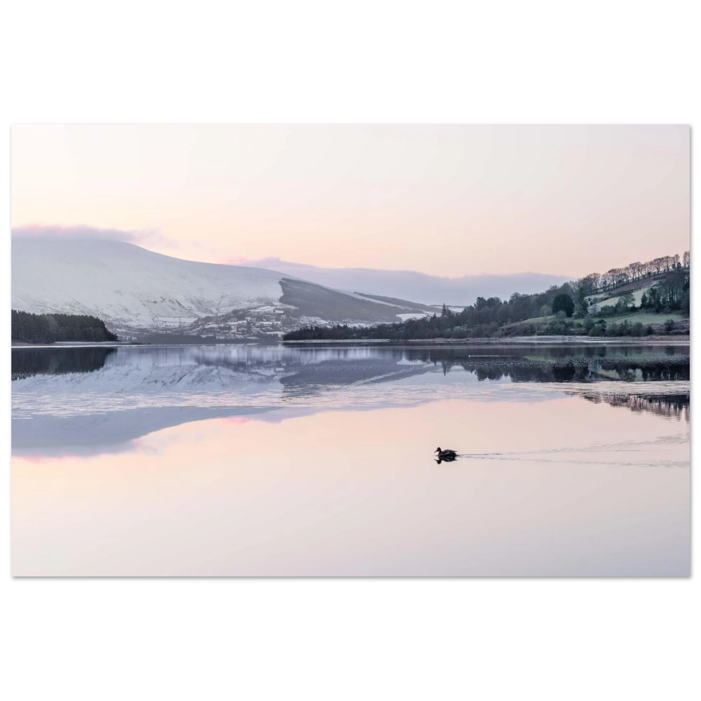 a1b979fd-2847-488e-b601-8af353d83a0f