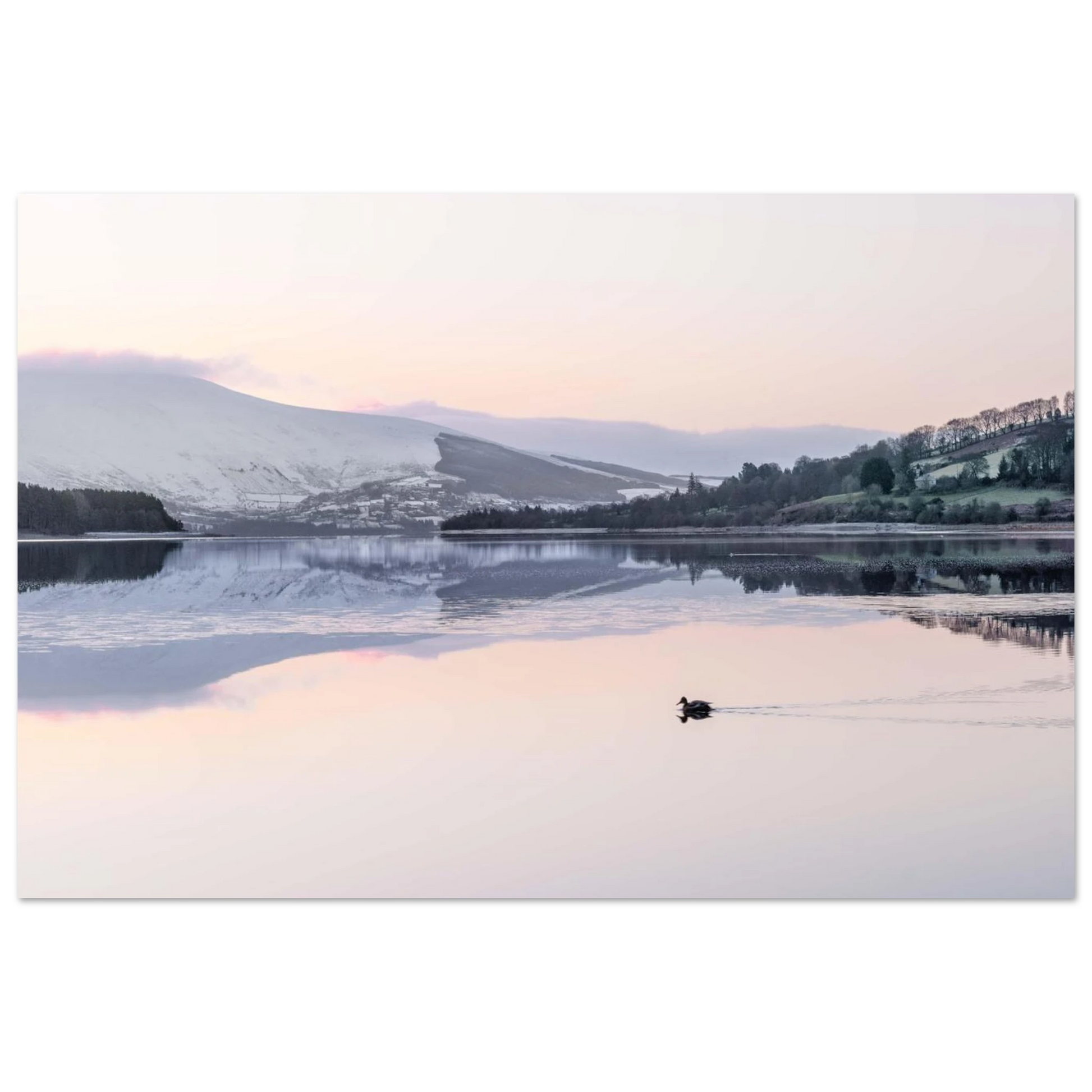 a1b979fd-2847-488e-b601-8af353d83a0f