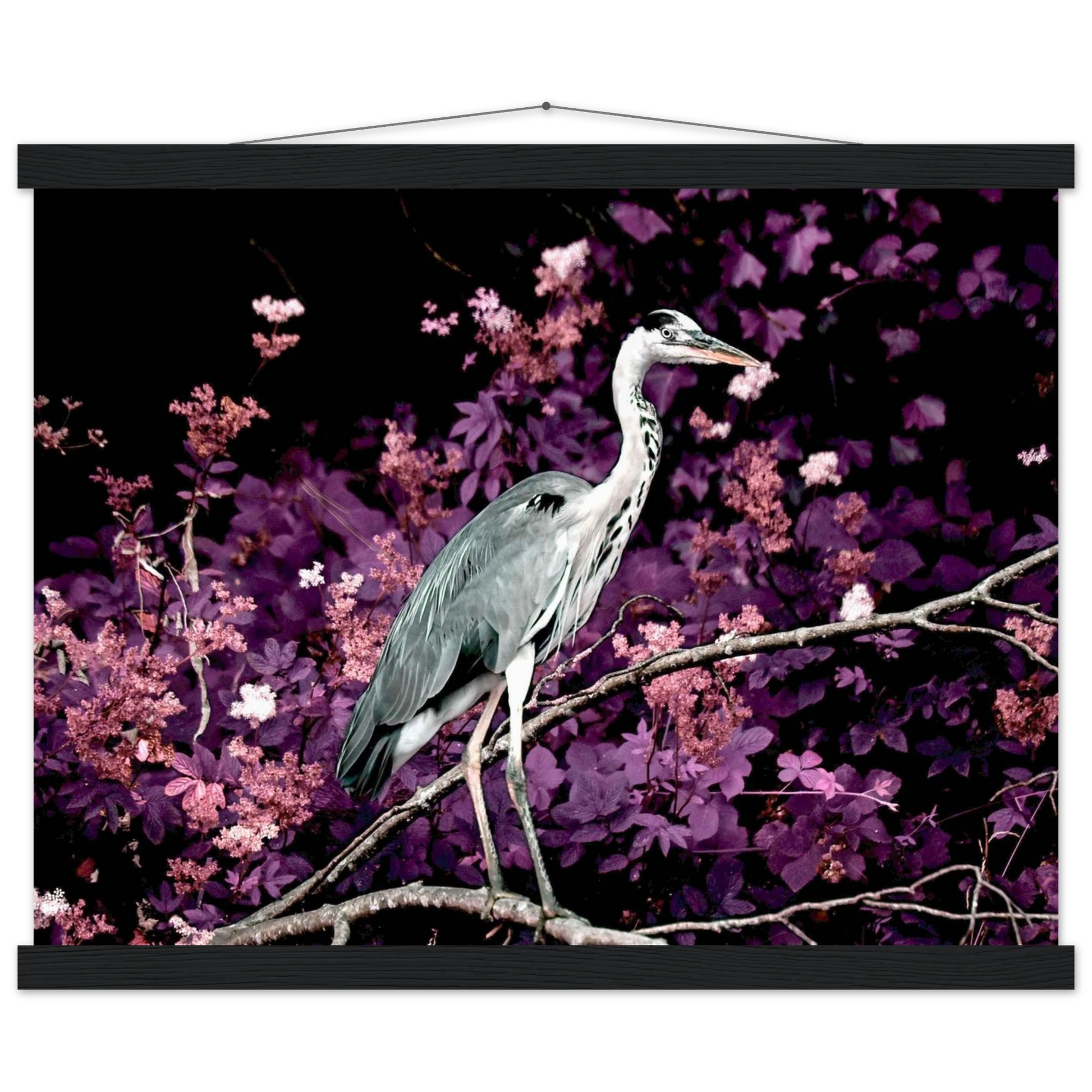 a1e64db2-d8dc-4931-be63-9e0850552e6b