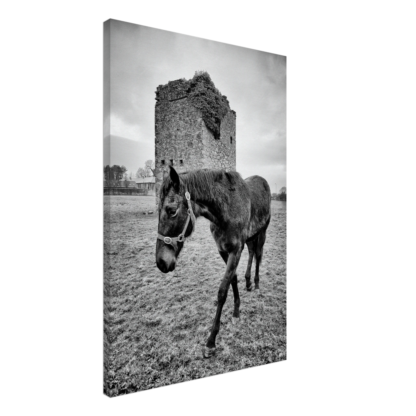 a320cabb-9b32-4042-b78d-756825315dcd