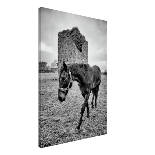 a320cabb-9b32-4042-b78d-756825315dcd