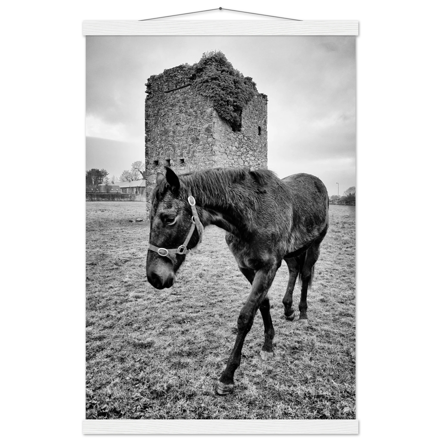 a344eca5-ef35-4e9e-a2f9-b01dfa49172b