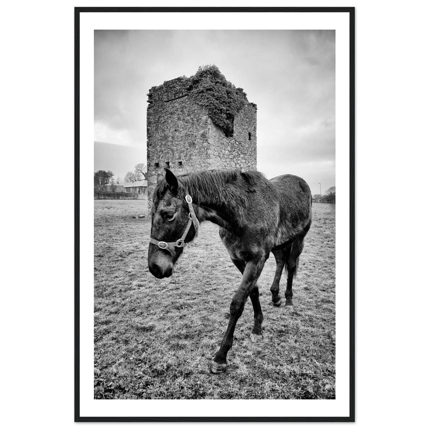 a3cc8cbb-427f-44d7-8522-1047b81e554b