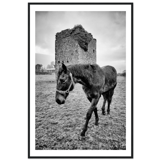 a3cc8cbb-427f-44d7-8522-1047b81e554b