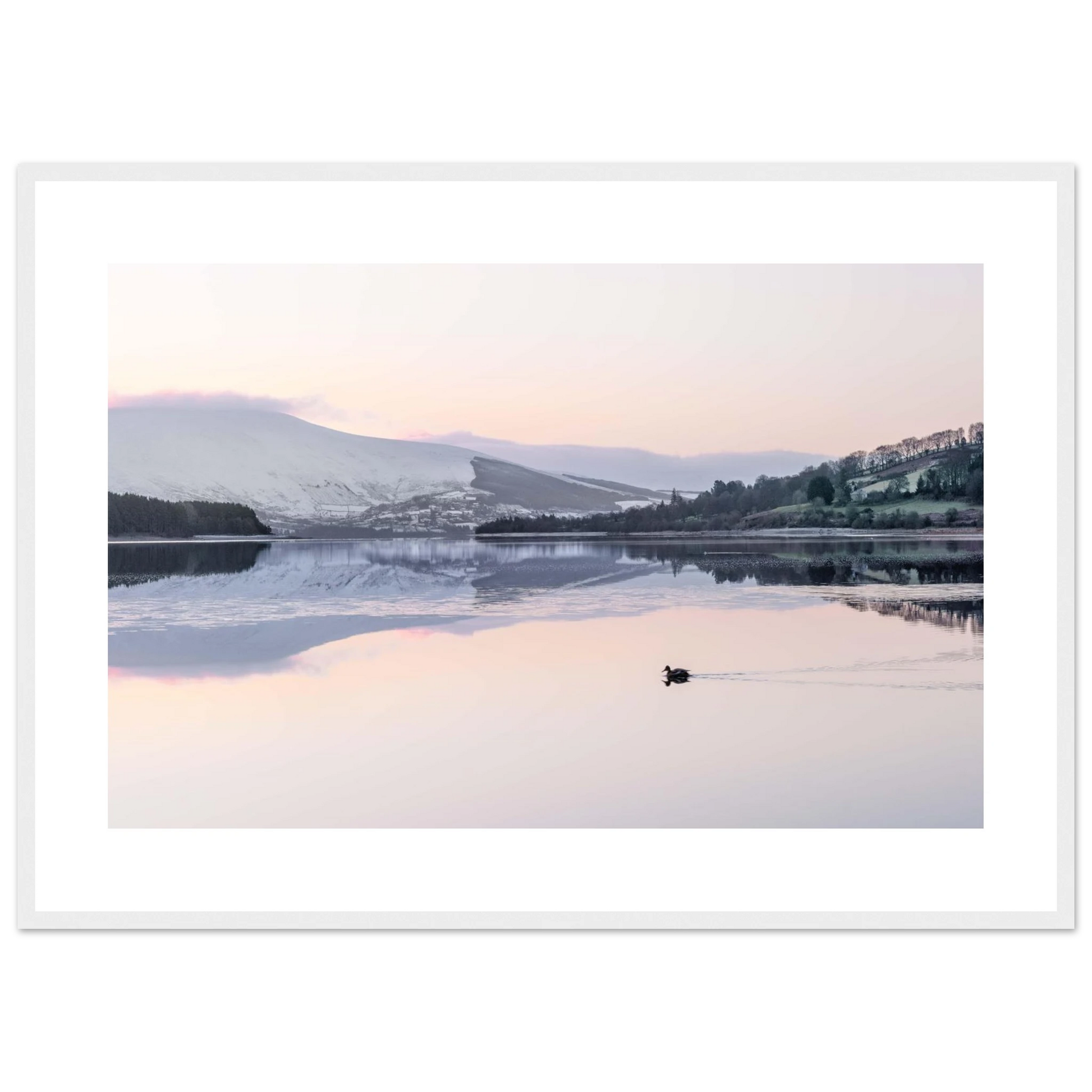 a3d645eb-8a4f-4c93-b103-d115dd90dd57