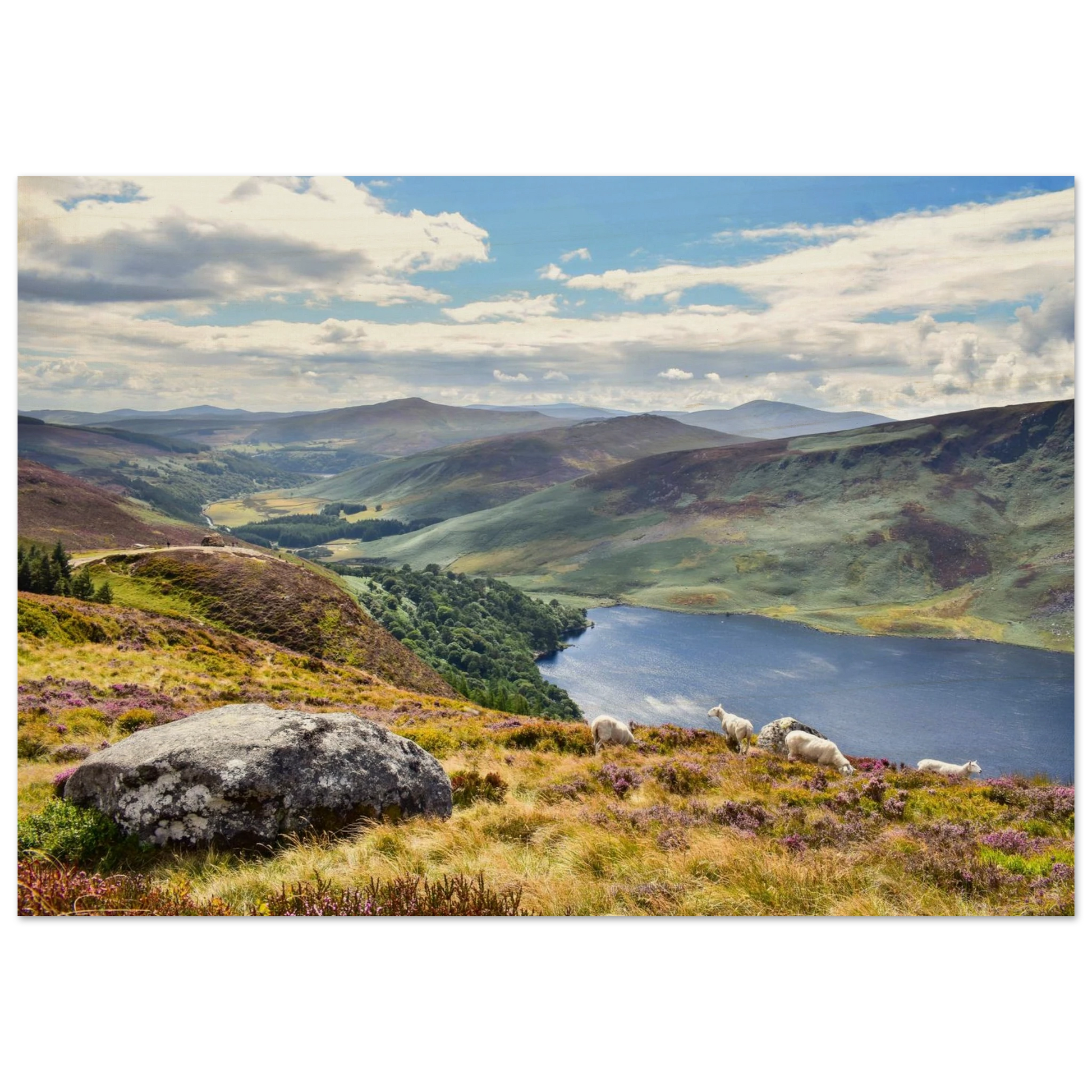 a40d79d3-d6e5-47a6-8aa4-5fc433982f43