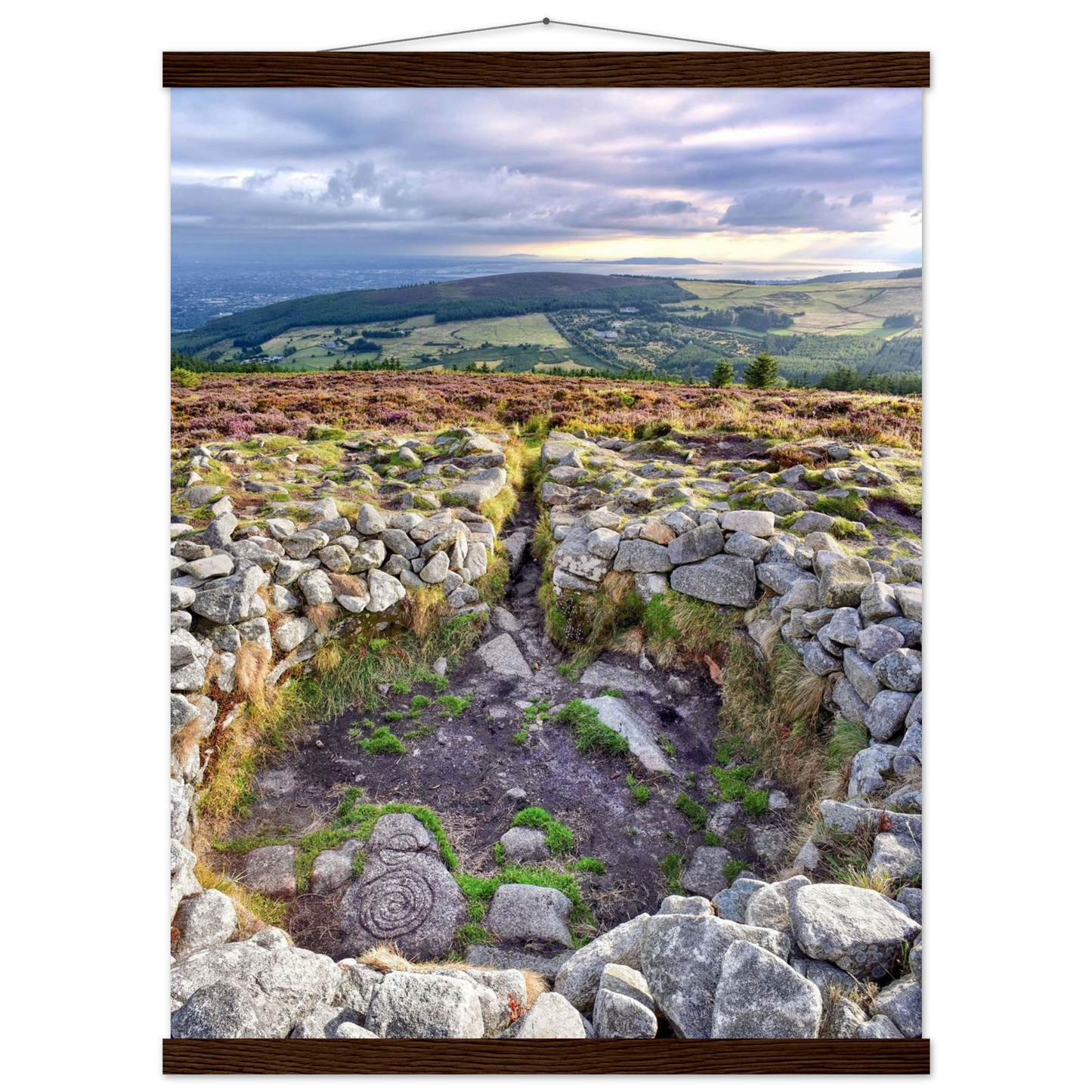 a4737be2-7411-48ef-8e26-880fa1940443