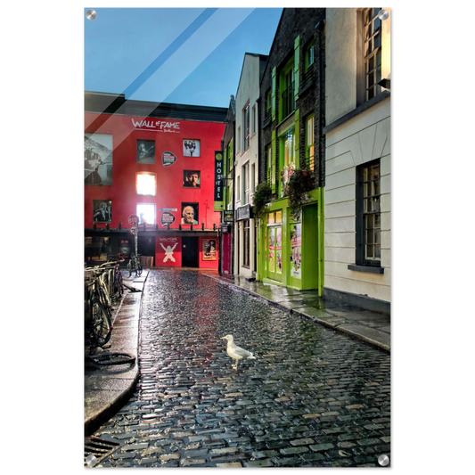 a495dc85-a471-4e8d-b0ee-0a7e0b8b8d76