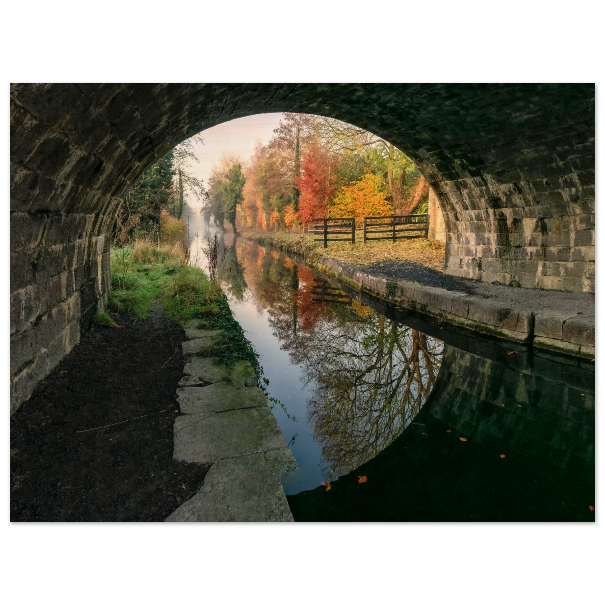 a4d1f3b6-4c36-484b-93fd-d1dc614b87e6