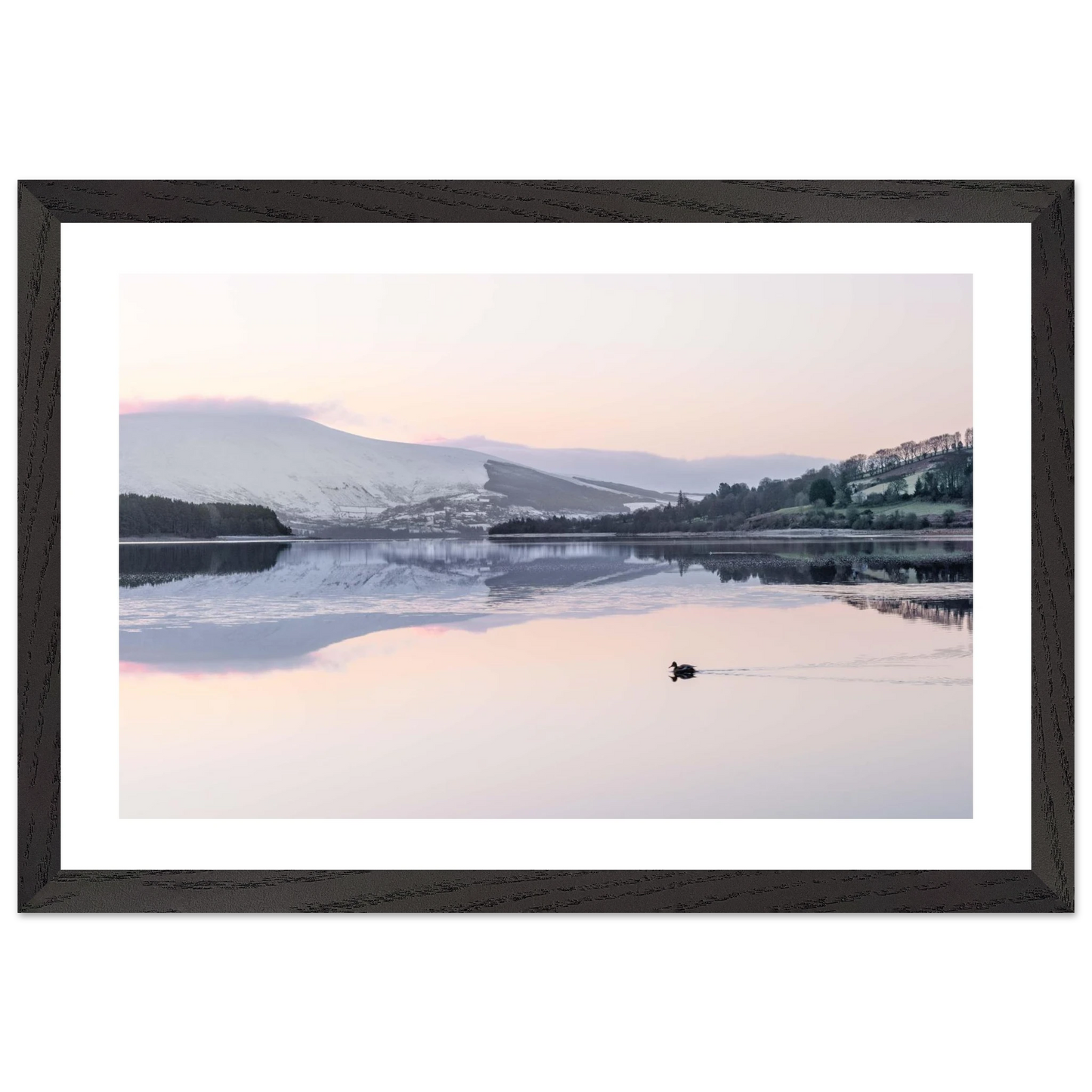 a5339f45-d7f9-48e4-a3c0-cc7c725f1883